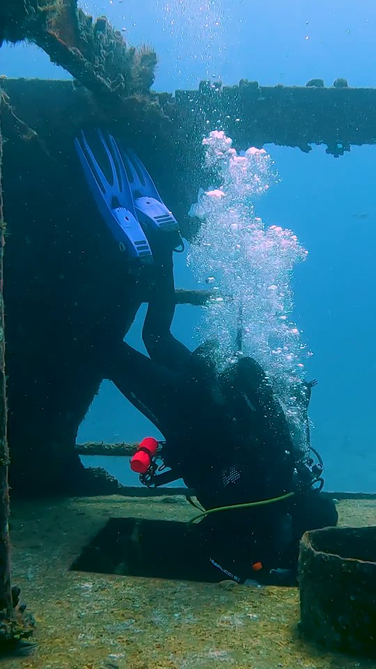 Wreck dive experience? 🤿⚓
✔️ Cozumel
✔️ Somewhere else (where?)
✔️ Not yet… but it’s on my list 😎
Comment below 👇
#AldoraDivers #Cozumel #wreckdiving #scubadiving