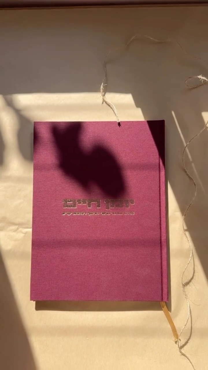  כל האהבה שבעולם, עד אליהם.
לינק בביו.
.
.
.
.
.
.
#יומןחיים #סיפוריחיים #כתיבה #מתנהלחגים #מתנהלאמא