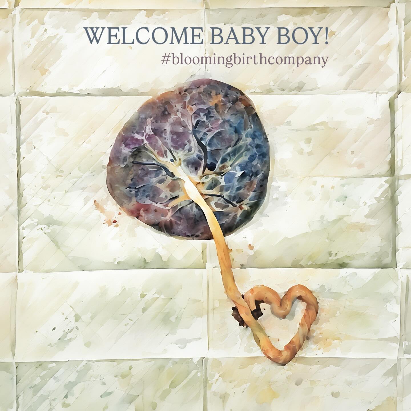 First baby of 2026 onboard! His arrival at 38 weeks surprised his parents as much as it did us — we had another baby pegged for the position of our first New Year baby! But God works His timing for the good of all involved… even for this one’s daddy who just arrived home from a long business trip to the west coast to find mama in labor!!