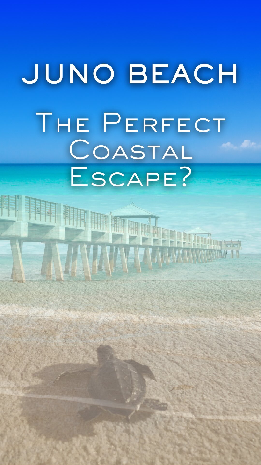 Juno Beach Florida paradise! 🌊🏖️ Turquoise waves, the iconic Juno Beach Pier, stunning coastal homes, pristine beaches, ocean-to-table dining at Ke’e Grill, Captain Charlie’s, and Seminole Reef Grill, scenic trails, ocean adventures, baby loggerheads at Loggerhead Marinelife Center, pup beach days, and ultimate tranquility.
Your dream coastal life awaits in Juno Beach – think luxury homes for sale, waterfront properties, and communities like Caretta or The Dunes at Juno Beach! Who’s ready to make Juno Beach home?
📲 561-846-2835 | 🌐 carollrealtygroup.com
@junobeachpier @keegrilljuno @captaincharliesreefgrill @seminolereefgrill @junobeachliving @illustratedproperties @illustrated_jupiter_east
#JunoBeach #JunoBeachFlorida #junobeachpier #JunoBeachHomesForSale #CoastalLiving #LuxuryHomesForSale #Caretta #DunesOfJunoBeach #LoggerheadJunoBeach #FloridaRealEstate #WaterfrontProperties #KeeGrillJunoBeachFL