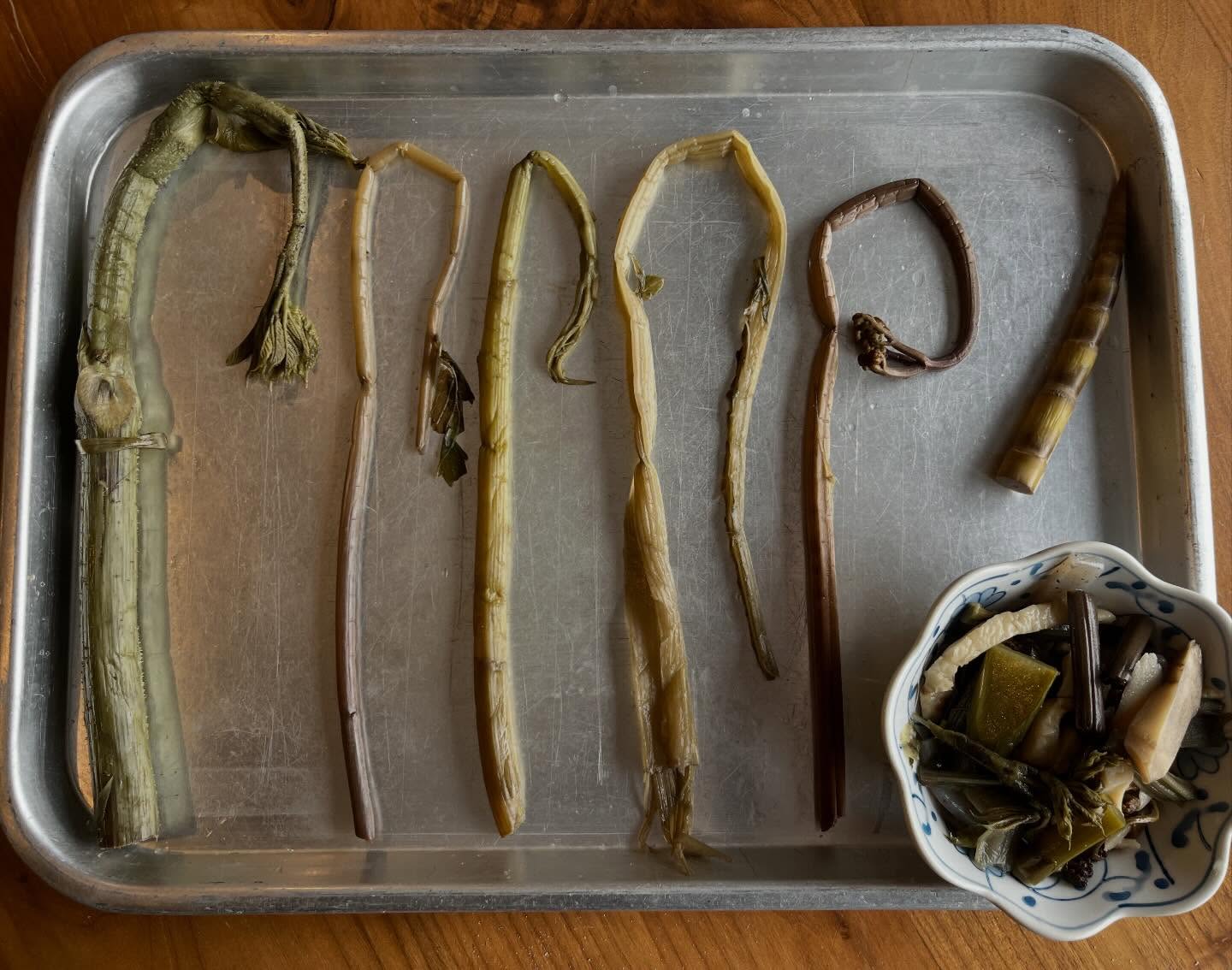 ❄️冬の保存食紹介【塩蔵山菜】
豪雪地帯に属する地域のほとんどは山菜の宝庫であり、もちろん当地も採れる種類の数や質の良さともに全国有数です。
山菜は厳しい冬を乗り越えた者へのご褒美のような食材で、雪国に生きる人々にとっては古くから生活を支えてきてくれたかけがえのない存在です。時期を逃さなければかなりの量を採取することができ、また様々な方法で保存も可能なため、保存食としても古くから重宝されてきました。
今年は写真左からウド、ミズ(ウワバミソウ)、ヤマソ(ハンゴンソウ)、サワアザミ、ワラビ、ネマガリタケを塩漬けにしてストックしておきました。1種類ずつ別々に料理するのは少し大変なので、古民家宿ひじくらアッチでは頑張りすぎず全種類を一緒に煮物にしてお出ししています。
まとめて煮物にしても、それぞれ味、食感が異なるので食べ比べをしながら楽しく味わうことができます。食べるたびに採取した記憶、山の風景が蘇ってきて春が恋しくなってしまう、なんとも滋味深い素晴らしい保存食です。そんな風に冬を楽しんでいる間に、着々と季節は春に近づいていきます。
真冬に食べられる山菜料理もぜひお楽しみください♪
#寺田本家 #自然酒 #小谷村 #otari #長野 #nagano #信州 #hakubavalley #北アルプス山麓 #おたり自然学校 #ひじくらアッチ #自給自足 #雪国の暮らし #里山の暮らし #山の恵み #雪国体験 #かまくら #かまくら体験 #かまくらディナー #猪鍋 #ジビエ料理 #山菜料理 #山菜の塩蔵 #塩蔵山菜 #ネマガリタケ #ハンゴンソウ #ウワバミソウ #サワアザミ #ワラビ #ヤマウド