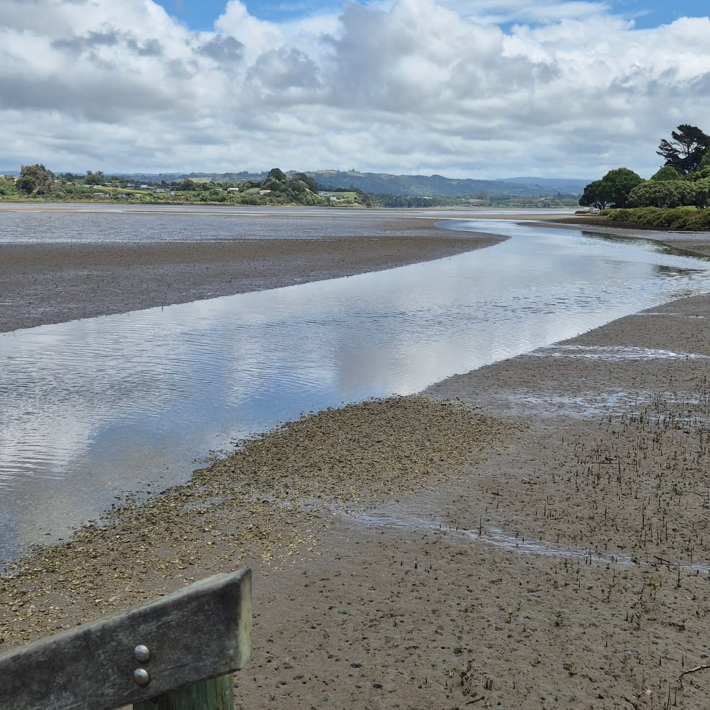Quick clean-up at the Matua saltmarsh yesterday, stoked to see how little waste was out there!
Big shoutout to everyone who helps keep this place looking amazing
#cleancoasts #tauranga #TaurangaCityCouncil
#bayofplentyregionalcouncil #marineconservation