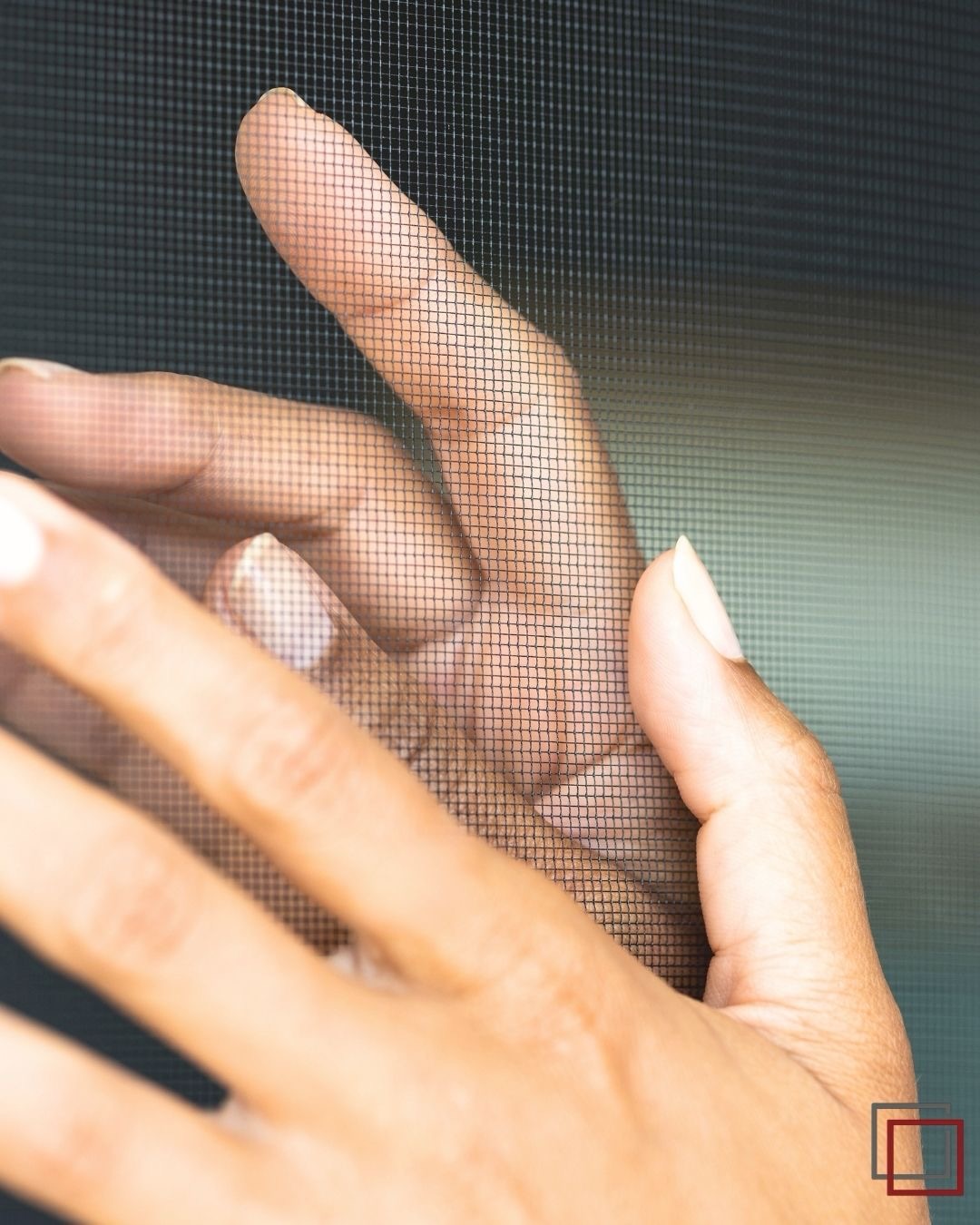 Was du siehst: freie Sicht.
Was du nicht siehst: Insekten.🦟 🐝
Individueller Insektenschutz – präzise nach Maß und nahezu unsichtbar mit unserem Transpatec®-Gewebe von #neher
🟥⬜️insektenschutz-rhein-main.de
#fliegengitternachmaß #transpatec #fliegengitterfenster #insektenschutzgitter