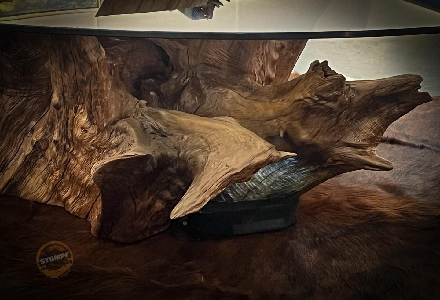 My California Incense Cedar Root Table from the @rtiashow 2025. Topped with a smoky glass. This piece is available to purchase - please DM if interested
@StumpfWoodworks @MakeGaragesDirtyAgain