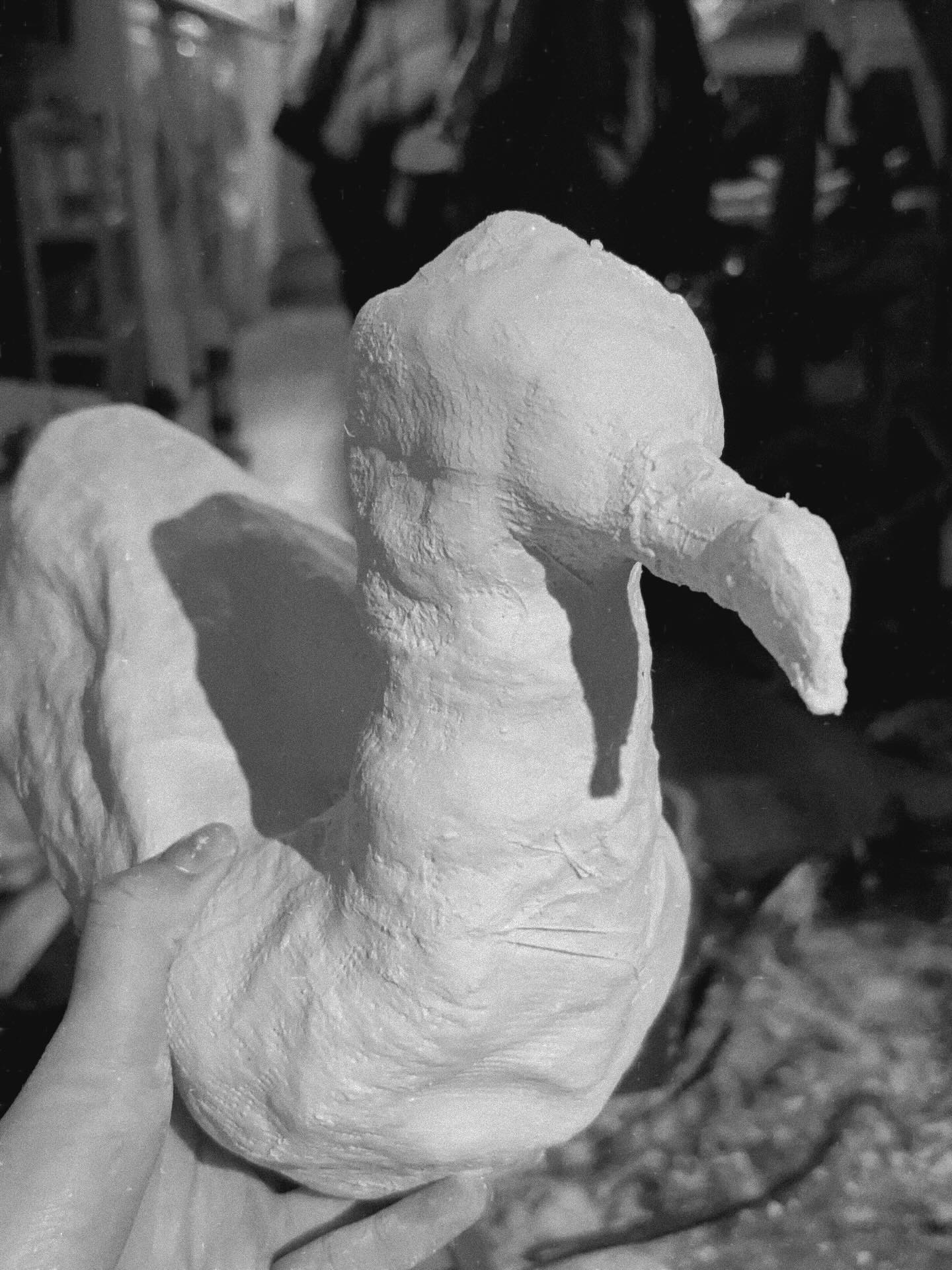 Meet Wilma
My latest #wildlifeartivism piece - very much a work in progress currently, as it’s somewhat complicated and is living in my brain in full-sketch form (I realise not doing sketches and plans when working in 3D is perhaps a weird choice, but the idea is solid in my head, and I’ve never been one for planning)
I don’t want to say too much about it at this stage… but here are some lil BTS snaps, showcasing some of the stages of her creation so far (and teasing the issue I’m exploring)
I’ve also had a few questions about what I’ve created Wilma from - on top of the tin foil, I’ve done mod-roc 🥰 would recommend !!
and !! Top tip for when you’re working in foil !! If you use a heated glue gun, it also heats the foil … which is painful if you forget (which currently, I have forgotten for every project I’ve done using this method)
.
.
.
#art #bird #artist #bts | model | arrivism | WIP @dalerrowney1783 @dswfwildlifeart @dswfwildlife @btobirds @birdlife.international @cornellbirds