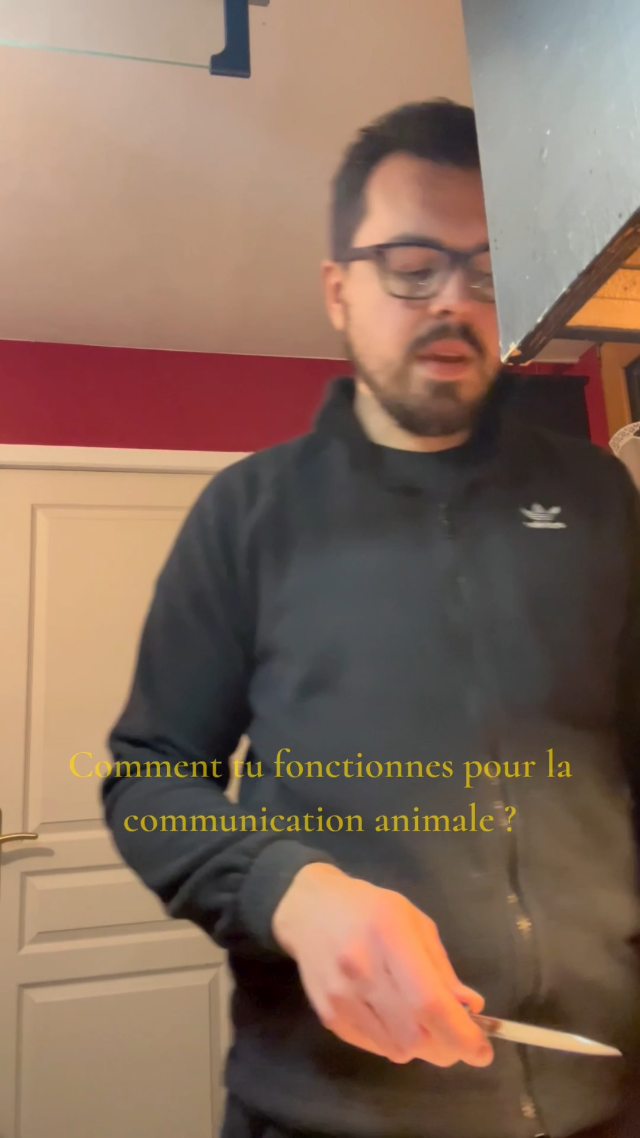 Dans cette vidéo, je t’explique concrètement et simplement comment se déroule une séance de communication animale avec moi, de la prise de contact jusqu’au compte rendu, ce que je fais, ce que je ressens, et comment les messages sont transmis, toujours dans le respect de l’animal et du duo humain–animal.
C’est une vidéo un peu plus longue que d’habitude, mais elle permet de poser les choses, de répondre aux questions que l’on me pose souvent, et de comprendre ce qu’est vraiment une séance de communication animale, au-delà des idées reçues.
Si après l’avoir regardée il te reste des questions, tu peux m’écrire.
Et si tu ressens l’élan de réserver une séance pour ton animal, commente simplement un émoji d’animal 🐾 et je te contacte.