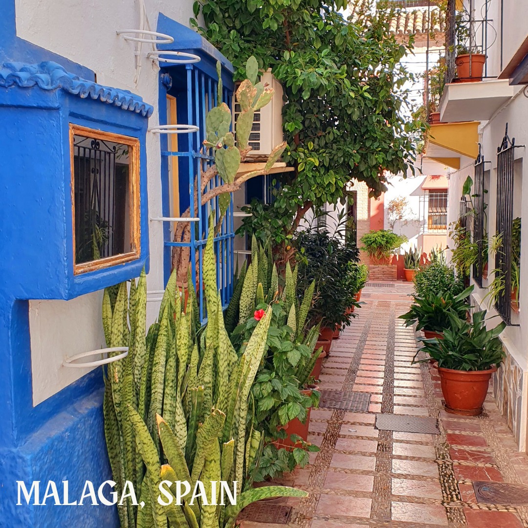 🍲 WHAT TO EAT IN MÁLAGA?
Must-try dishes:
🐟 Espetos (grilled sardines)
🐟 Boquerones fritos (fried anchovies)
🍅 Porra antequerana (thick cold tomato soup)
🌰 Ajoblanco (almond + garlic cold soup)
🐠 Fritura malagueña (mixed fried fish)
🥪 Campero malagueño (local sandwich)
Drinks:
🍷 Sweet Málaga wine
🍹 Tinto de verano (light wine + lemon soda)
A coastal city full of flavour, sunshine, and fresh Mediterranean goodness.
#malaga #spain #europe #enchantedwanderingstravel #escape #getaway #cruiselife #travelgram #traveltips