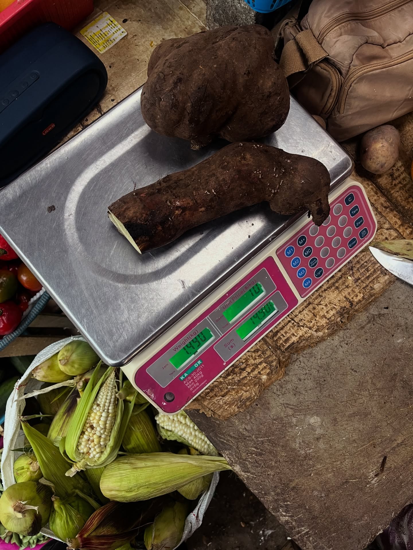 Yacon: Smallanthus sonchifolius
Yacon is an ancient tuber endemic to the Andes, part of the sunflower family and a relative of chicory, sunchokes, and dahlias. Could it be the ideal hyper-local ingredient for distillation in Peru’s Amazonas region? Could it generate meaningful financial opportunity for rural communities and offer some relief from reliance on a fickle tourism industry, while centering an ancient ingredient that, across generations, has quietly slipped from regional diets?
As foreign wellness markets like Japan and Australia “discover” its health benefits, they are poised to propel this Andean crop into the international spotlight as the next health craze.
Fresh, yacon is delicate to store and transport, distillation offers a method of preservation. We can transform it into a refined, hyper-local product that honors its origins while creating new pathways for its future avoiding its fade out and its dispossession.
Read more about the work I carried out @pirqapatalab and why I think yacon has real potential to be molded into a spirit at the link in bio.
#yacon #Amazonas #Peru #inulin #playwithyourfood
