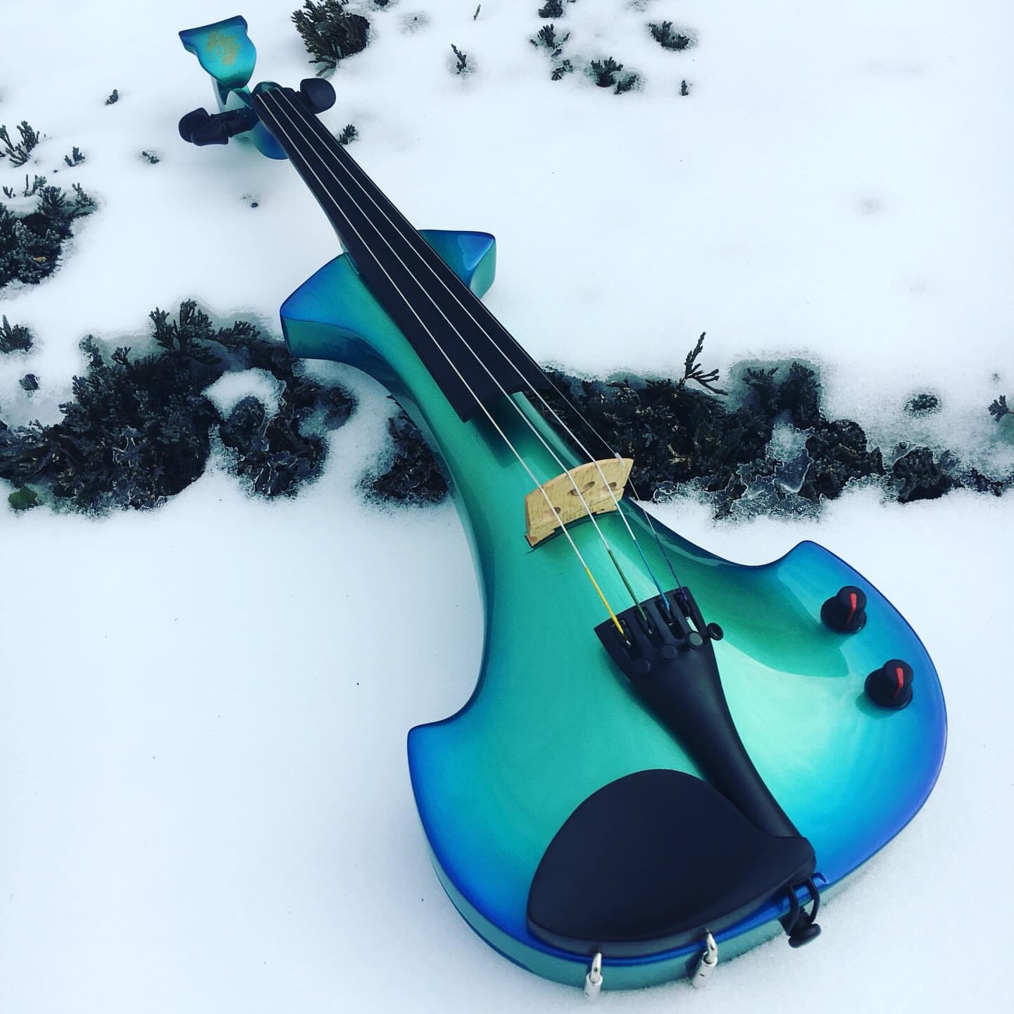 Repost from @electricviolinshop
Warm up the cold weather with a Barrier Reef Bridge Dragon Aquila electric violin 🎻
🩵🐉💚
.
.
.
#AquilaViolin #ElectricViolinShop #BridgeViolins #StringInnovation #DragonViolin