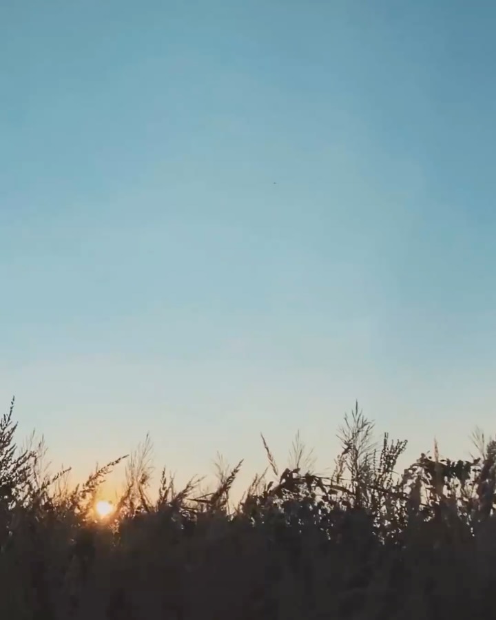 Just because it’s common does not make it
“normal” or signs of a healthy period.
Comment CHEATSHEET for the Chinese medicine cycle syncing guide.
#menstrualcycle #cyclesyncing #tcm #cyclesyncingmethod #pms