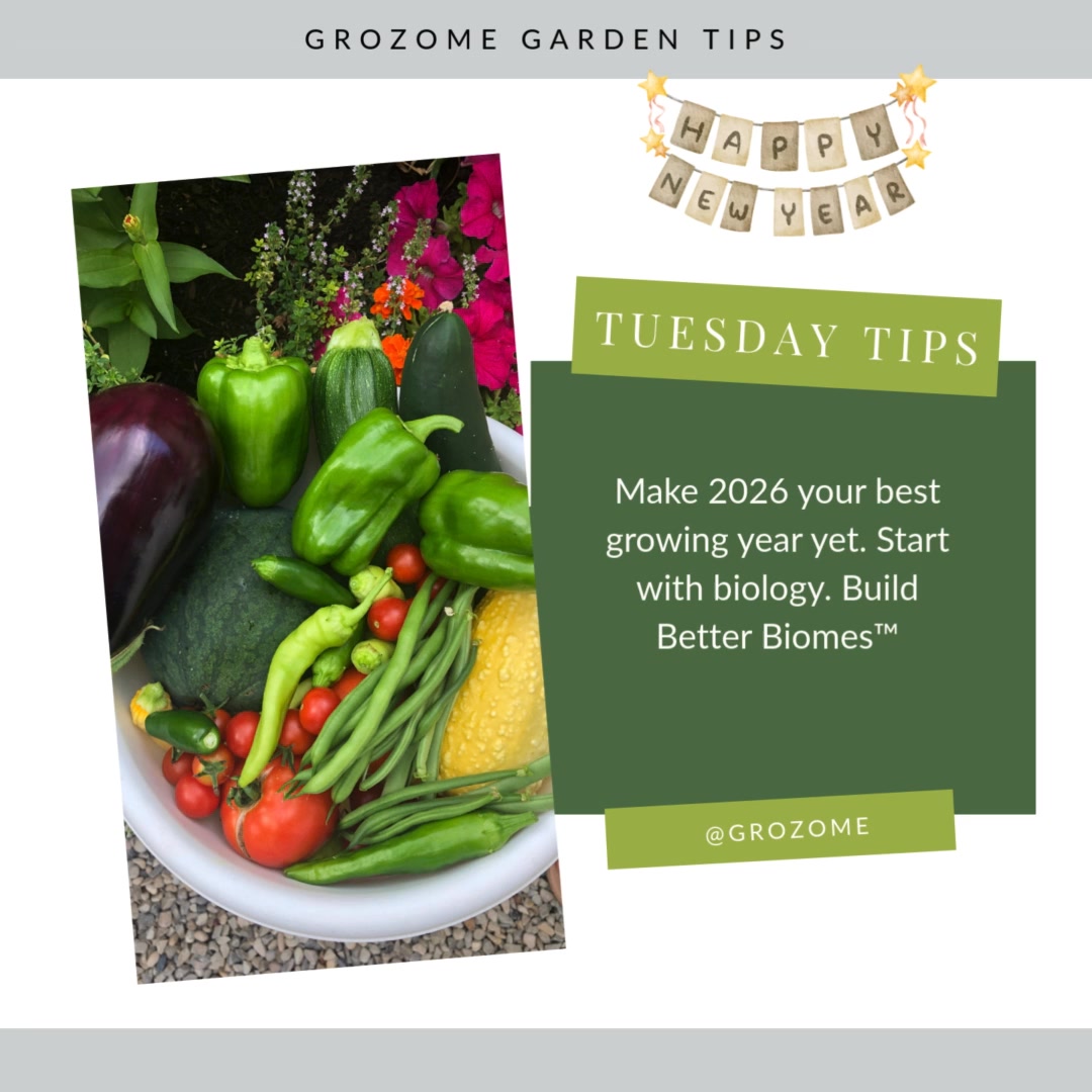 The best gardens don't start on January 1st, they start in the soil months before. Give your 2026 garden the microbial foundation it deserves.
Drop a đ± in the comments if you're starting your soil prep early this year! Link to GROZOME in the bio.