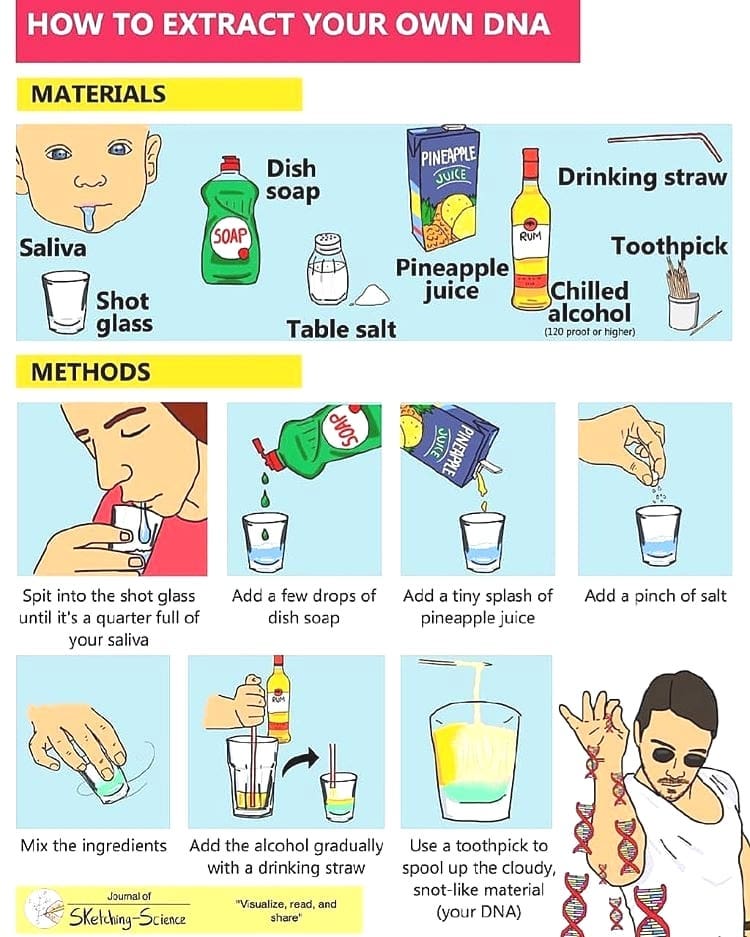 This actually works. Give it a go!
.
.
#scienceiscool #science #chemistry #biology #research #experiment #dna #dnaextraction #tutor #scientist #gcse #alevel #aqa #ocr #edexcel #alevel #resultsday #gcses2020 #alevels2020 #gcsebiology #biochemistry
