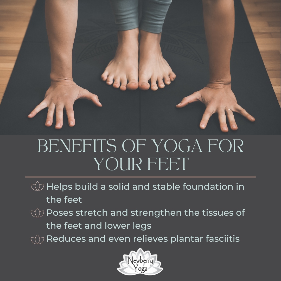Are you on your feet a lot or in search of better health habits for your feet? Or maybe to improve practicing yoga? Your feet can benefit from yoga in many ways from practicing yoga to daily activities. Happy feet leads to a happy life! The perfect opportunity is to join our workshop January 29th to learn poses and gain knowledge of why it is important.
Interested? Learn more and sign up for the Happy, Healthy Feet Workshop on our website!
#newberryyoga #yoga #yogapractice #gentleyoga #yinyoga #yangyoga #meditation