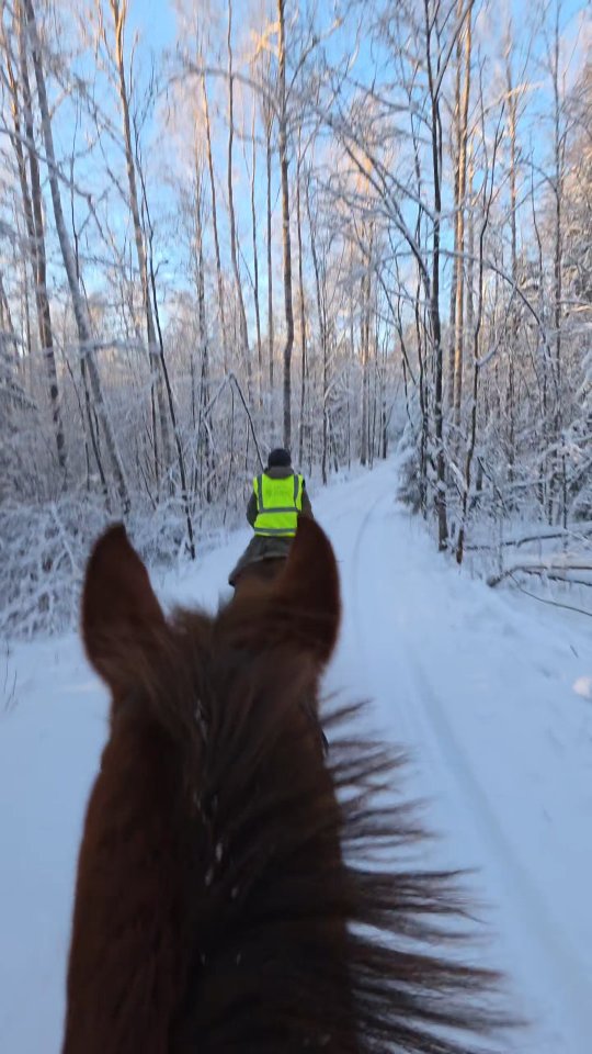 Sää on suosinut ja ollaan päästy nauttimaan lumisista maisemista Espoonkartanon upeilla ratsastusreiteillä! ❄️☀️ #happyrider #omahevonen #omahevonenespoonkartano