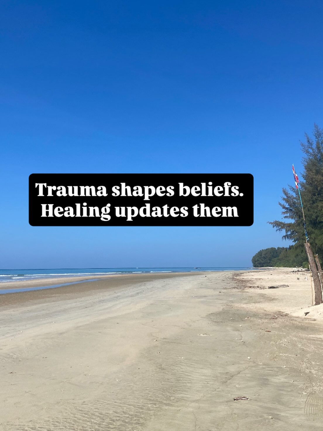 Trauma doesn’t just live in the body.
It often lives in the beliefs we had to form to survive.
“I’m too much.”
“I can’t rely on anyone.”
“If I relax, something bad will happen.”
These beliefs once made sense.
They protected you when you didn’t have better options.
Healing isn’t about judging them -
it’s about gently updating them when safety becomes possible.
EMDR therapy is an evidence based treatment that can help with this. It allows the brain and nervous system to reprocess past experiences so that old, negative beliefs about yourself and others can soften and update - without having to relive everything in detail.
I currently have spaces available for EMDR therapy.
Please contact me if you’d like to book a free 15 minute call to find out more and to see if EMDR could be helpful for you.
#emdrtherapy #traumatherapy #healingfromtrauma #sawyapsychologicaltherapies