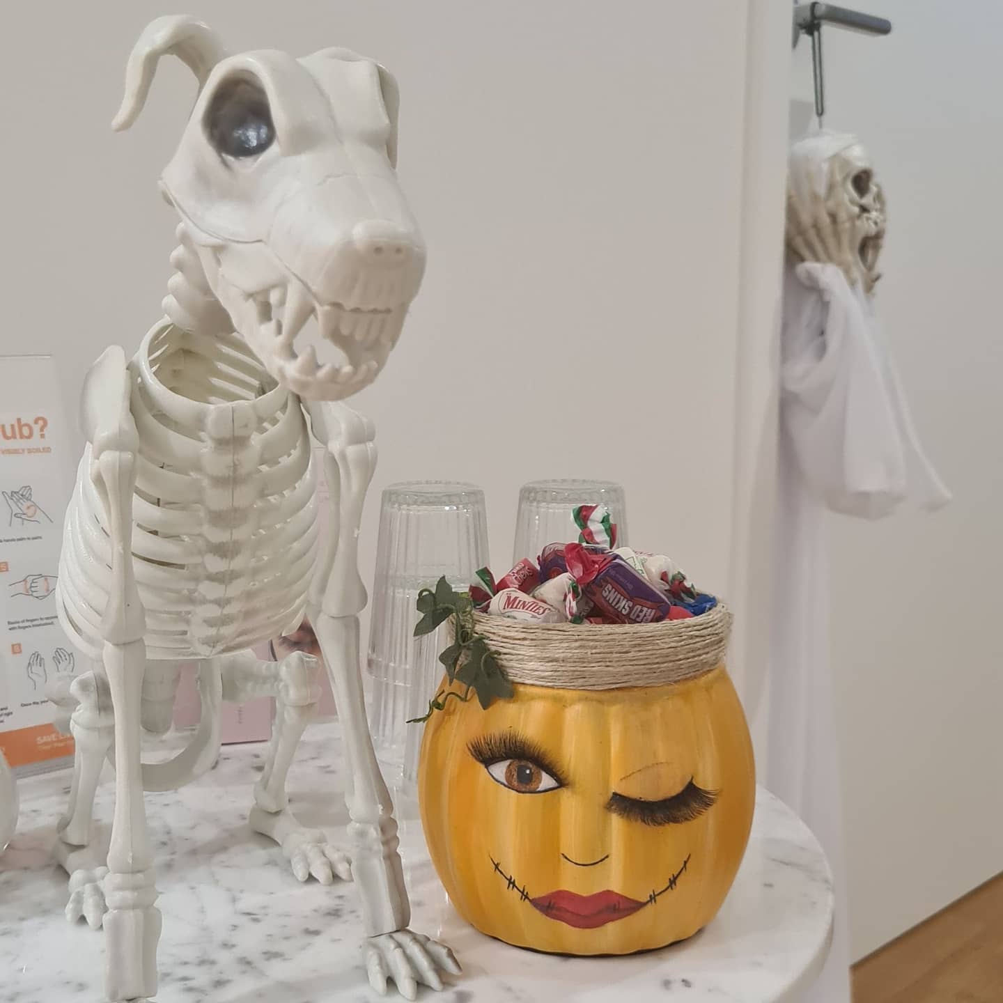 When your pumpkin candy bowl has better lashes then you do 😪😅🤣
Happy Halloween from me & Harley (who looks a bit boney these days 🧐)
#halloween #harley #skeleton #pumpkin #chihuahua #lashes #candy #doggo #lashartist #lashextensions