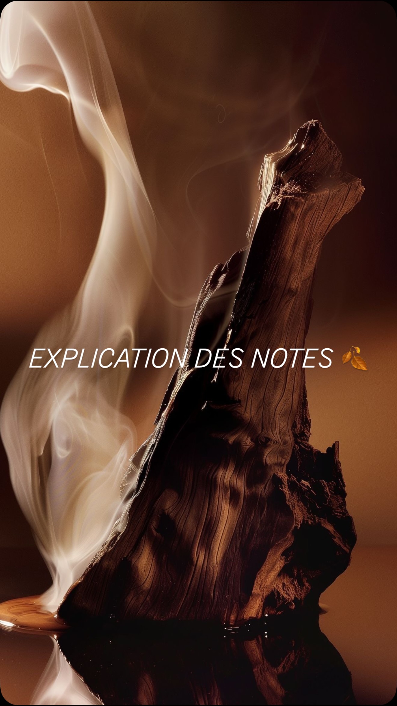 Un parfum ne se révèle jamais d’un seul coup.
Il commence, il évolue, il s’installe.
Notes de tête : l’instant.
Notes de cœur : l’identité.
Notes de fond : la mémoire.
#parfum
#parfumtiktok
#parfumfrance
#fragrance
#perfumelover