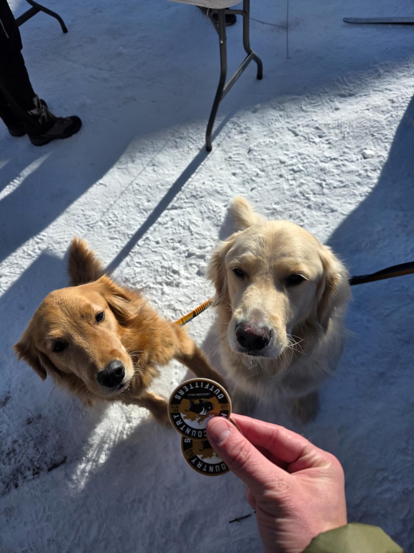 Big thanks to @jhnordic and @turpinranch for another great annual free ski day. We look forward to running it back next year!