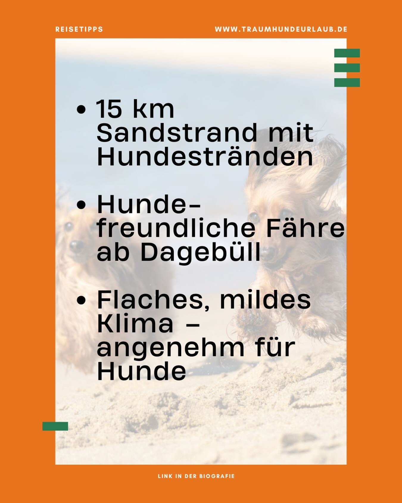 Nordseeluft, endlose Strände und glückliche Pfoten 🐾🌊
Föhr ist der perfekte Ort für eine entspannte Auszeit mit deinem Hund – viel Platz zum Toben, Ruhe zum Abschalten und echtes Inselgefühl.
Wer kommt mit? 💙🐶
#traumhundeurlaub #foehr #urlaubmithund #jetztbuchen #hundetraum