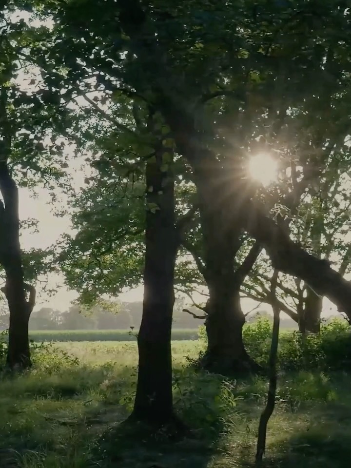 Some couples don’t avoid conflict — they collide with it.
Both partners come in strong, trying to be understood, trying not to disappear.
The result? Heightened stress, raised voices, and emotional overload.
These relationships can feel passionate and intense, with powerful reconnections after fights —
but the real issues often remain unresolved.
Slowing down isn’t weakness.
It’s choosing safety over chaos, and connection over control.