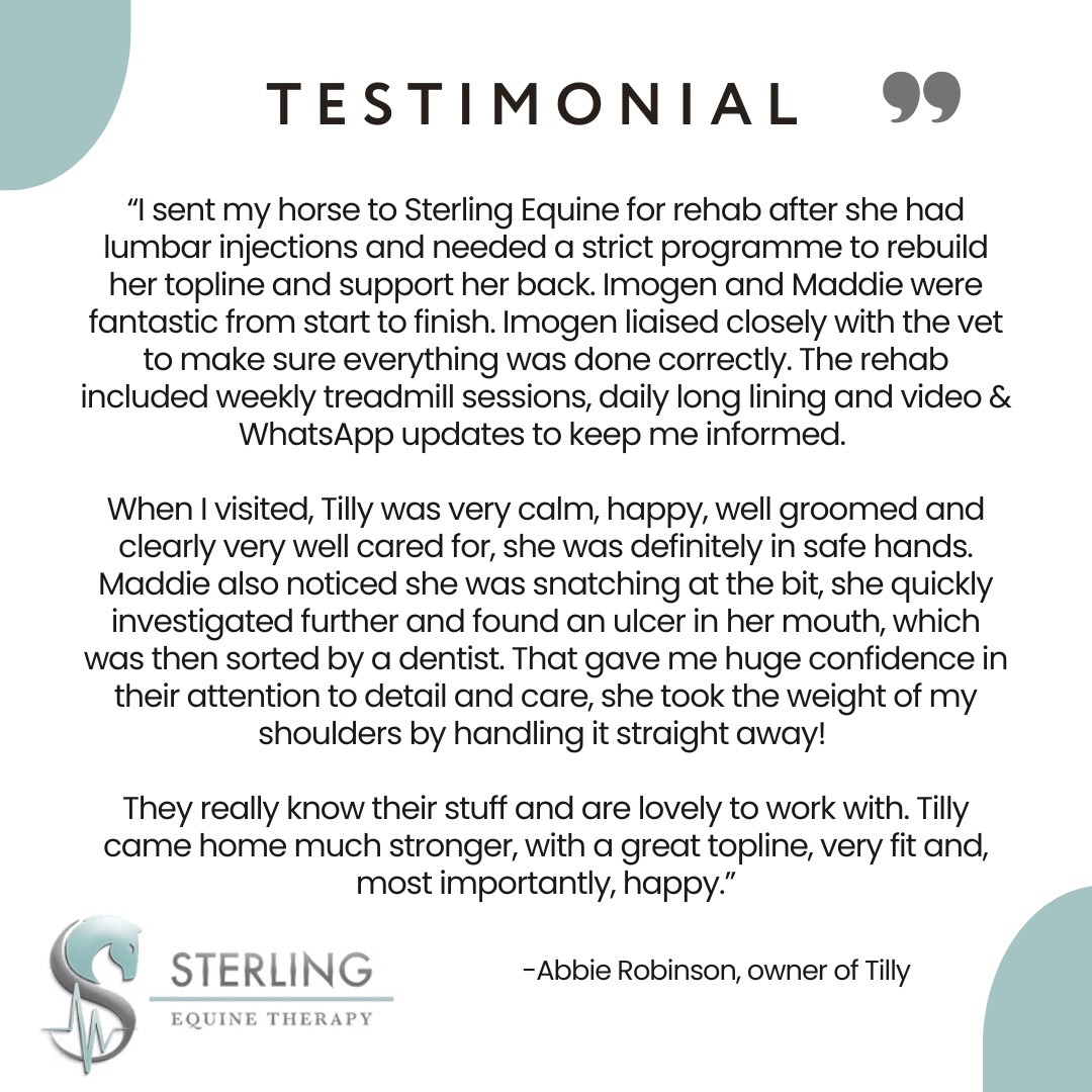 Client feedback like this means everything to us⭐️
At Sterling Equine Therapy our rehabilitation livery programmes and hydrotherapy facilities are designed to support safe, effective recovery for every horse.
Thank you Abbie for trusting us with your horse’s care!
Ready to join our happy clients? Contact us today to enquire about our rehabilitation livery spaces 📖🐴✅
