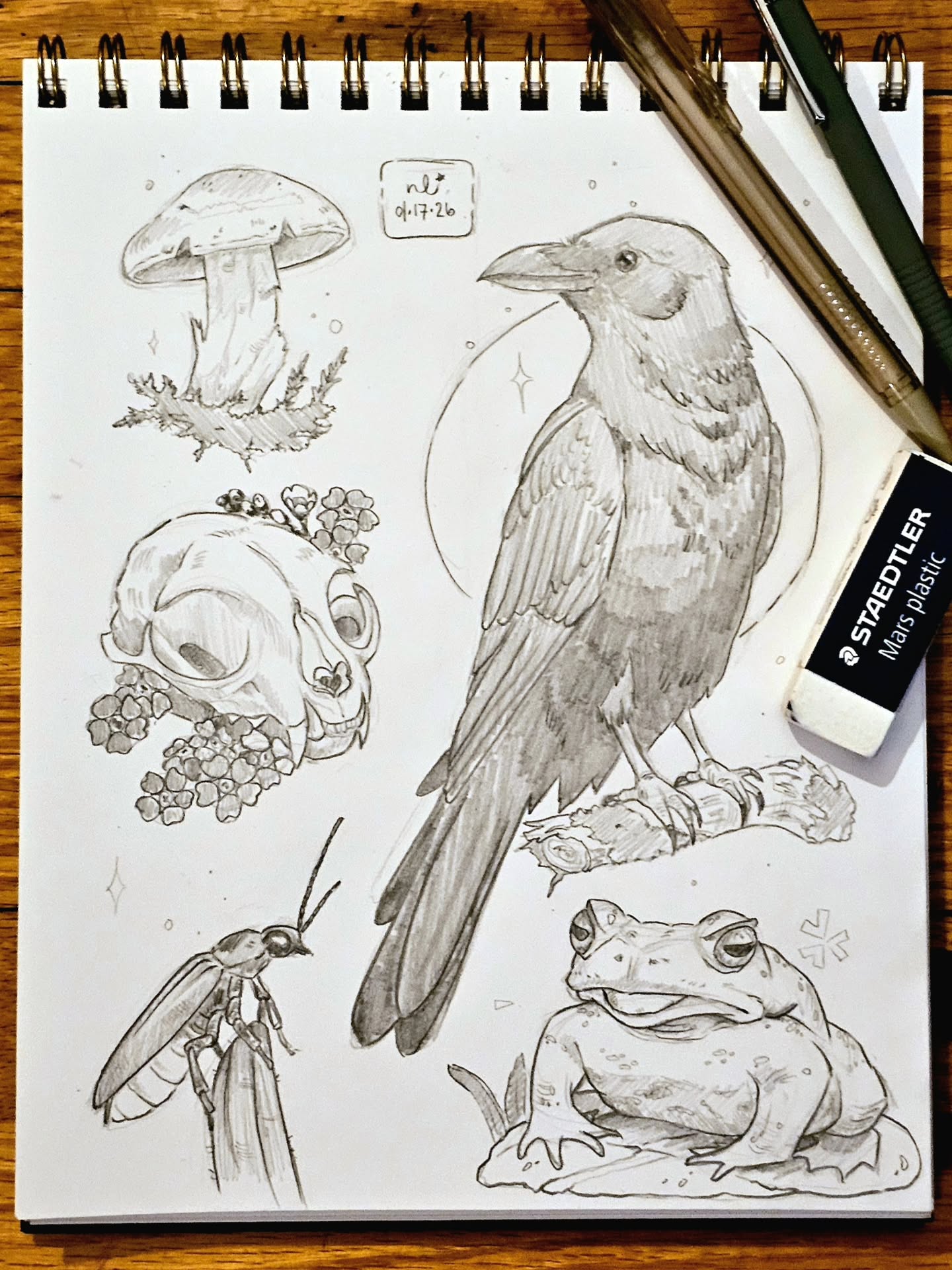 Woke myself up before 6am wanting to draw, so I did ✨️
I have been really focusing on my forms and trying to be more expressive with my sketches over the last two months, and I think it is finally showing!
I am sufficiently warmed up to work on a mixed media piece that I have been trying to finish! It is going to be a good day ✨️ I hope it is for you as well!
#artistsoninstagram #sketches #nature #femaleartist #growth