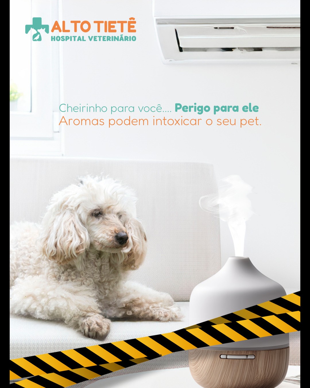 ⚠️ Os óleos essenciais presentes em difusores e aromatizadores podem causar intoxicação nos cães.
O que parece um cheirinho agradável para nós, pode representar um verdadeiro risco para a saúde dos pets especialmente em ambientes fechados.
🐶 Tosse, irritação, letargia, vômito ou tremores são sinais de alerta.
❌ Evite usar difusores perto dos animais.
✅ Prefira manter o ambiente ventilado e sem exposição direta a essências.
💙 Cuidar também é prevenir.
#CuidadoComAmor #PetsSeguros #VeterináriaEspecializada #HospitalVeterinárioAltoTietê #AromaterapiaECães #DifusorPodeFazerMal #PetSafeHome