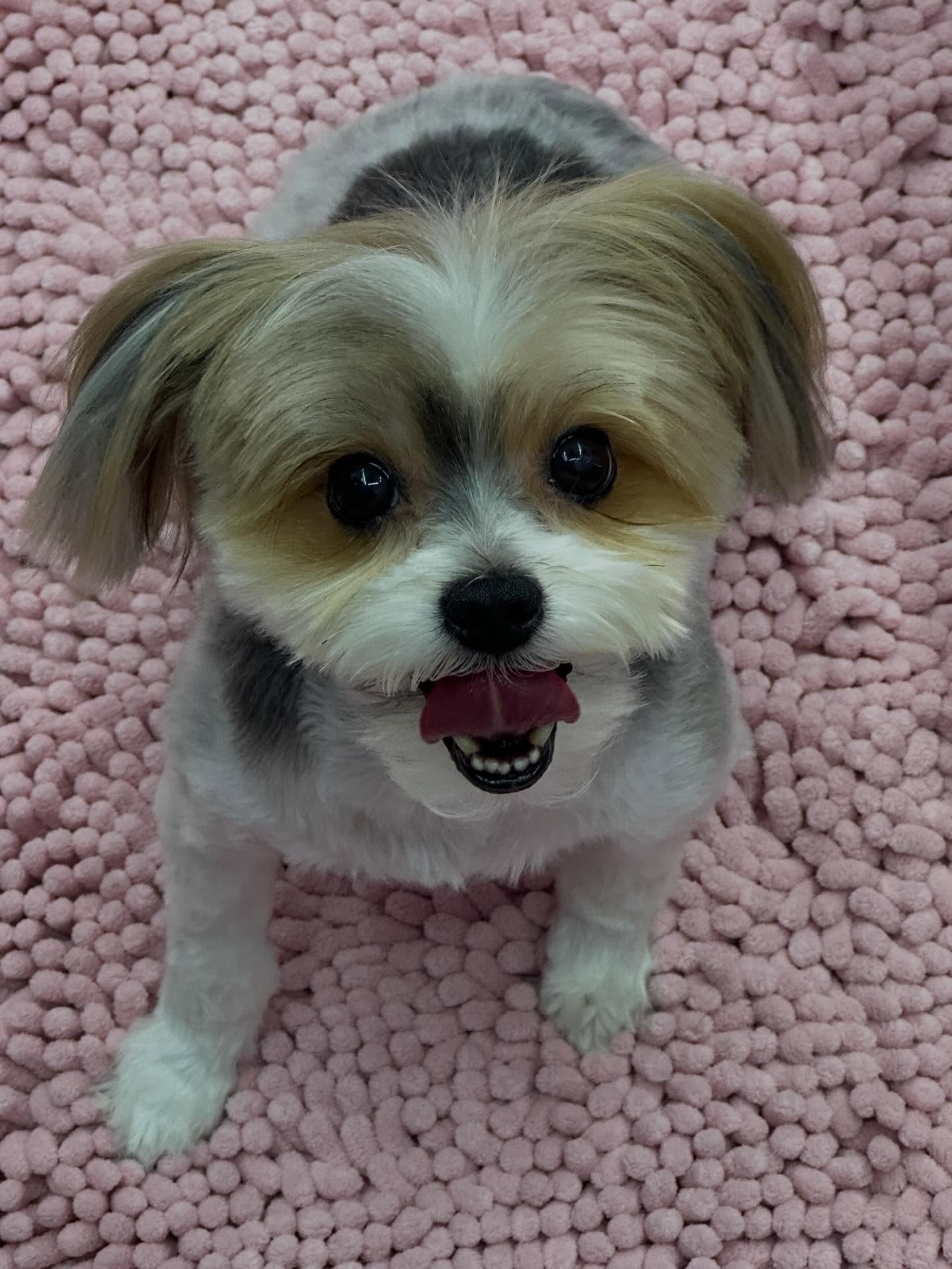 What a transformation ☺️