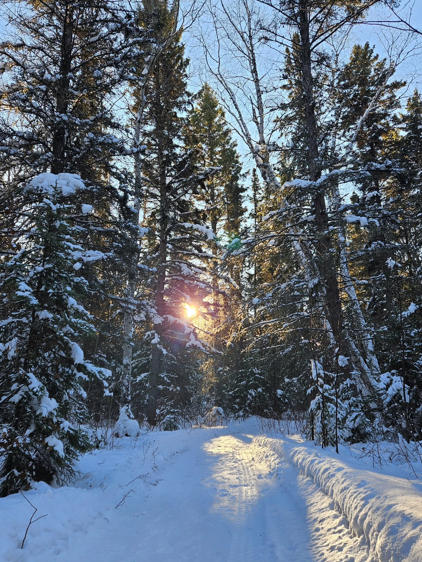 I haven't had a lot to share lately, mostly because life has been a bit heavy. At 35 I'm starting to really feel the effects of years of stress. Working multiple jobs at a time since I was 16. Years of relationship uncertainty. Being so busy that I haven't had time to properly nurture myself or to slow down and just breathe. This past May I started school at @pacificrimcollege and it's been the best thing to happen in my adult life. I'm doing my dual diploma in Phytotherapy + Holistic Nutrition. It's been the catalyst to help me land firmly my dreams. My last day at my job is coming up fast - Febraury 6th!! After that, it's working full-time for myself π²! Life Among The Wildflowers will be my full-time gig (on top of school of course) and that brings me so much joy. I'm committing to a slower pace of life. To have more fun. To linger in softness. To feel my creativity again. To add a little levity. πͺΆ
I'm so excited to share more herbal education with ya'll. I just bought myself a new camera for filming so watch for online courses and some herbal style vlogs. Once I'm done my job in February I'll be taking the month for midterms, travel, and reset. March will be full of Wildflower offerings and I'll be entering full creation mode. Thank you for supporting my little business since 2020 - it means the world to me. And I can't wait for 2026 to be the year that Wildflower grows more than ever! πΈπΏ