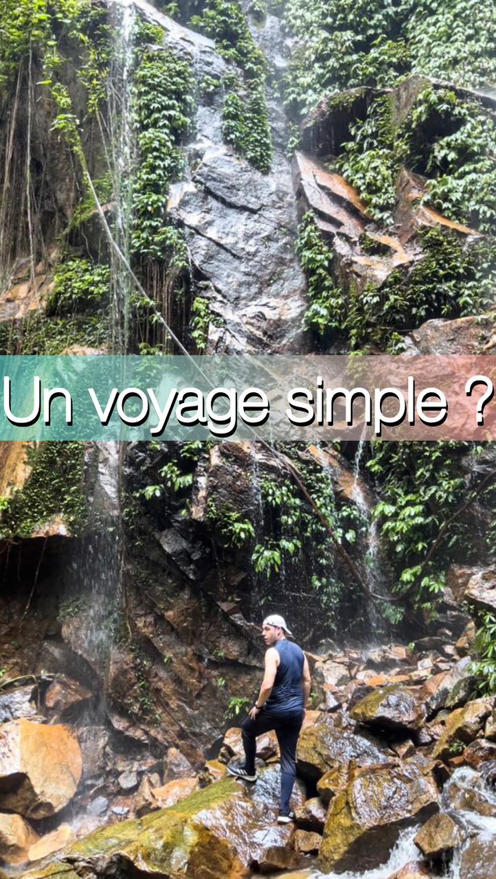 Ils m’ont dit :
« On souhaiterait un voyage simple…»
Rien de très précis.
Pas de liste d’endroits à cocher.
Juste l’envie de découvrir la Malaisie… sans stress.
Alors j’ai pris le temps : de les écouter, de comprendre qui ils étaient, comment ils voyageaient, ce qu’ils aimaient… et ce qui les inquiétait aussi.
La Malaisie est un pays immense, multiple, parfois déroutant.
Elle ne se résume pas à une île ou à une photo Instagram.
Elle peut être douce, sauvage, surprenante.
Quand on me laisse carte blanche, je peux proposer des lieux qu’on n’aurait jamais imaginés seul.
Des endroits qu’on n’ose pas toujours envisager, par peur de l’inconnu.
La jungle de Belum en faisait partie.
On en a parlé. Je les ai rassurés. Je leur ai expliqué comment ça se passe, pourquoi c’est sûr, pourquoi ça vaut le coup.
Et puis il y a eu ce moment… en famille, sur un radeau, au cœur de la jungle.
Loin de tout.
En parfaite déconnexion.
C’est exactement pour ça que je fais ce métier.
Pour créer des voyages qui ont du sens.
Pour m’occuper de vous, vraiment.
Et vous faire vivre des expériences que vous n’oublierez jamais.
Et si vous laissiez un peu de place à l’inattendu ?
Dis-moi en commentaire si tu veux que je t’aide à planifier ton voyage en Malaisie 🇲🇾