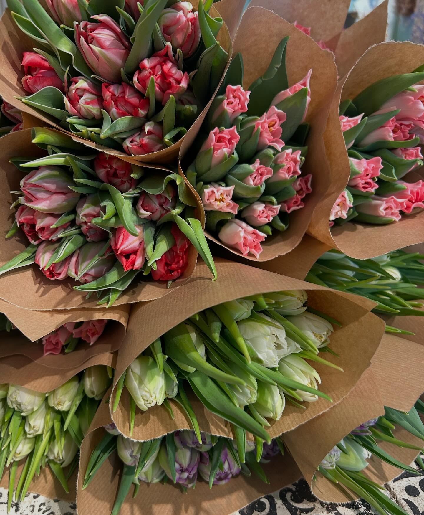 Butiken är helgfin och vi har massor med tulpaner bland annat!! 🌷💝
Öppet:
Lördag 10-16
Söndag 11-15
🌷 Välkommen 🌷