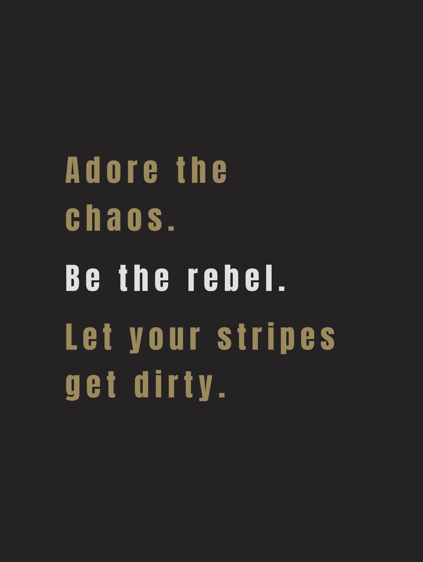 🦓 🔥 WHATS WITH THE ZEBRA?? 🔥🦓
The first time I learned how a brand was born, wasn’t in a boardroom or a university lecture. It was on a scorched plain—heat shimmering, silence calm and heavy—until chaos rolled through.
One rogue zebra broke free from the herd and threw itself into the dust. While the others stood pristine and predictable, this one rebelled. It’s beautiful stripes blurred and dirty.
It broke formation. Broke rules. Broke free. And instantly, it had my full attention.
Impossible to ignore—not because it tried harder, but because it chose chaos over comfort. Despite being one of the most majestic animals in the wild, the dirt gave it an edge.
It wasn’t posturing or performing. It was having fun. Not taking itself too seriously. Fully, unapologetically authentic.
That moment stayed with me.
That’s when Wilder Mind was born.
We specialise in Brand Identity. We create custom websites, manage social media, and help build bold businesses that know exactly who they are.
We don’t polish you into sameness.
We build brands that dare to roll in the dust.
Adore the chaos.
Be the rebel.
Let your stripes get dirty.
www.wildermind.studio