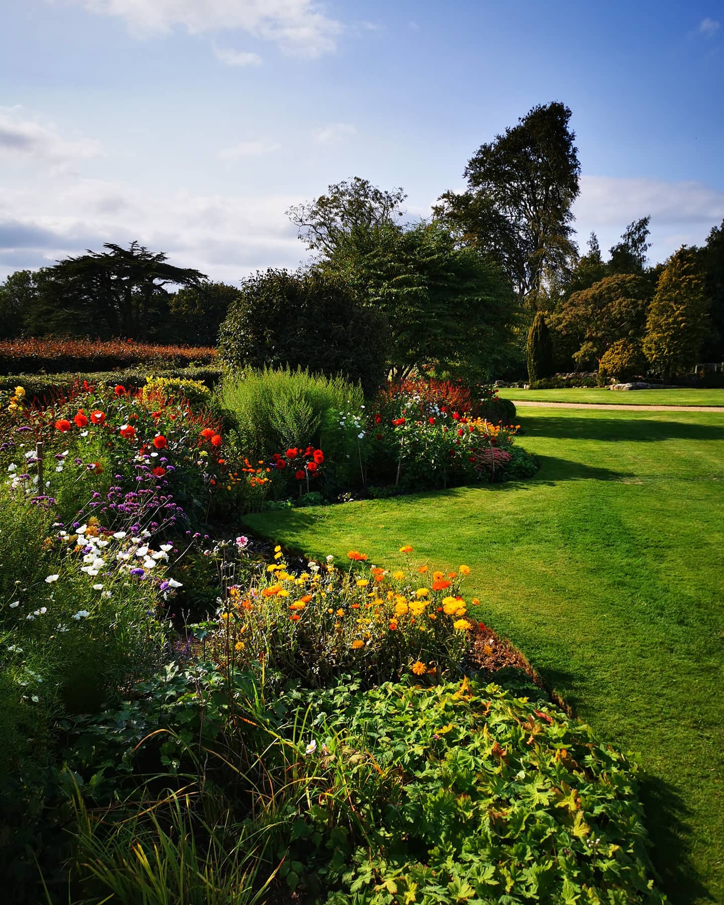 Part of a clients garden we worked on yesterday . The colour is still going strong, with a combination of Dhalias, Verbina, Cosmos, Calendula and many more.
.
.
.
.
.
.
.
.
.
.
.
.
#bloomsford #gardener #gardenersofinstagram #gardenerworld #gardeners #outdoorsman #dahlia #verbina #colour #mansion #estate #countryhouse #countryliving #hampshire #perennials #perennials
