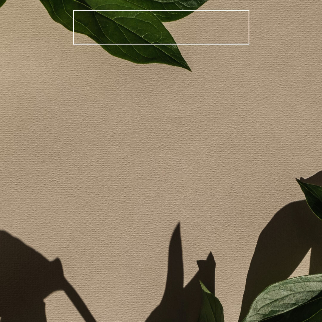 🌿 Wir freuen uns euch weitere Schnuppertermine anbieten zu können.�Ab sofort könnt ihr jeweils Dienstag und Mittwoch um 17:30h vorbeischauen. 🍀
✨ Das Iyengar-Yoga-West-Team freut sich auf euch. Bitte meldet euch unter daniela.ranacher@icloud.com an ✨
#iyengaryogawest #iyengaryogavorarlberg #iyengaryogahohenems #yoga #iyengaryoga