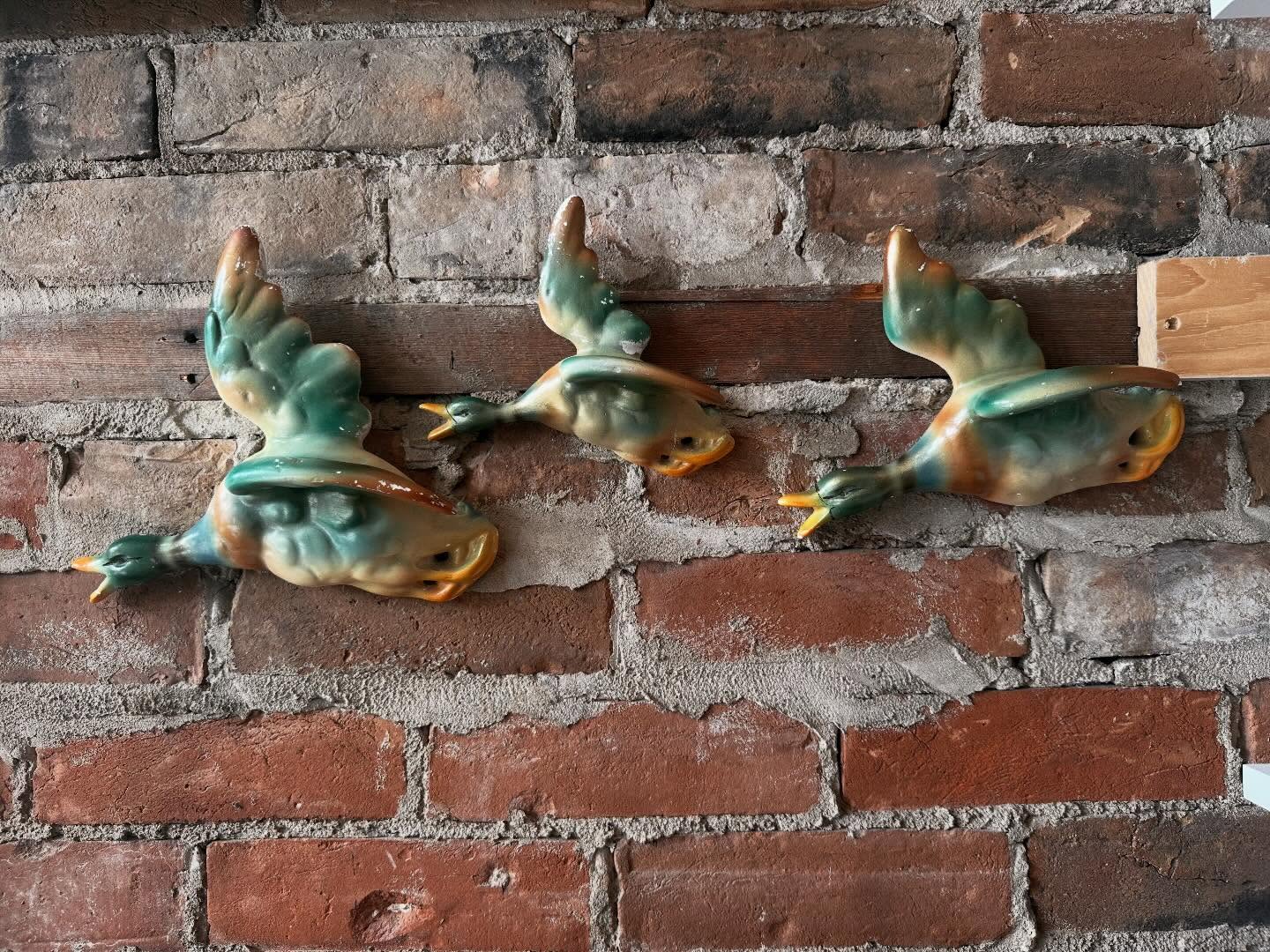 1960’s chalkware mallards 🦆 soaring through the air. Some tail damage and wear.
3 ducks in assorted sizes.
One’s having a hard time flying south in the snow ❄️