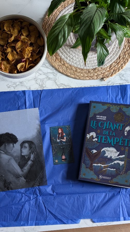 Aujourd'hui j'ai reçu « Le Chant de la tempête » publié chez @hugostardust_ !
L'objet livre est juste magnifique. J'adore la couverture... Ça donne envie de plonger dans le roman directement !
✨ Résumé ✨
À dix-neuf ans, Kelsey Marlowe rêve d’intégrer la marine royale, l’armée qui protège l’empire d’Oderion contre les dangers de l’océan. Seul son lien de parenté avec un traître pourrait l’en empêcher. Lorsque la cruelle impératrice la charge de retrouver une boussole magique sur une île mystérieuse, Kelsey y voit l’occasion de prouver sa loyauté. Mais elle a sous sa garde Calder Zephyr, dernier prince du Peuple de l’eau. Mélancolique, séduisant, le sang de sirène qui coule dans ses veines lui confère de puissants pouvoirs. Surtout, il semble savoir des choses sur Kelsey, ce qui pourrait faire remonter à la surface de dangereux secrets. Et quand la tempête approche, la frontière se brouille entre le devoir et le désir...
Alors ça vous tente ?
#unboxing #bookstagramfrance #Booklover #BookCommunity #roman