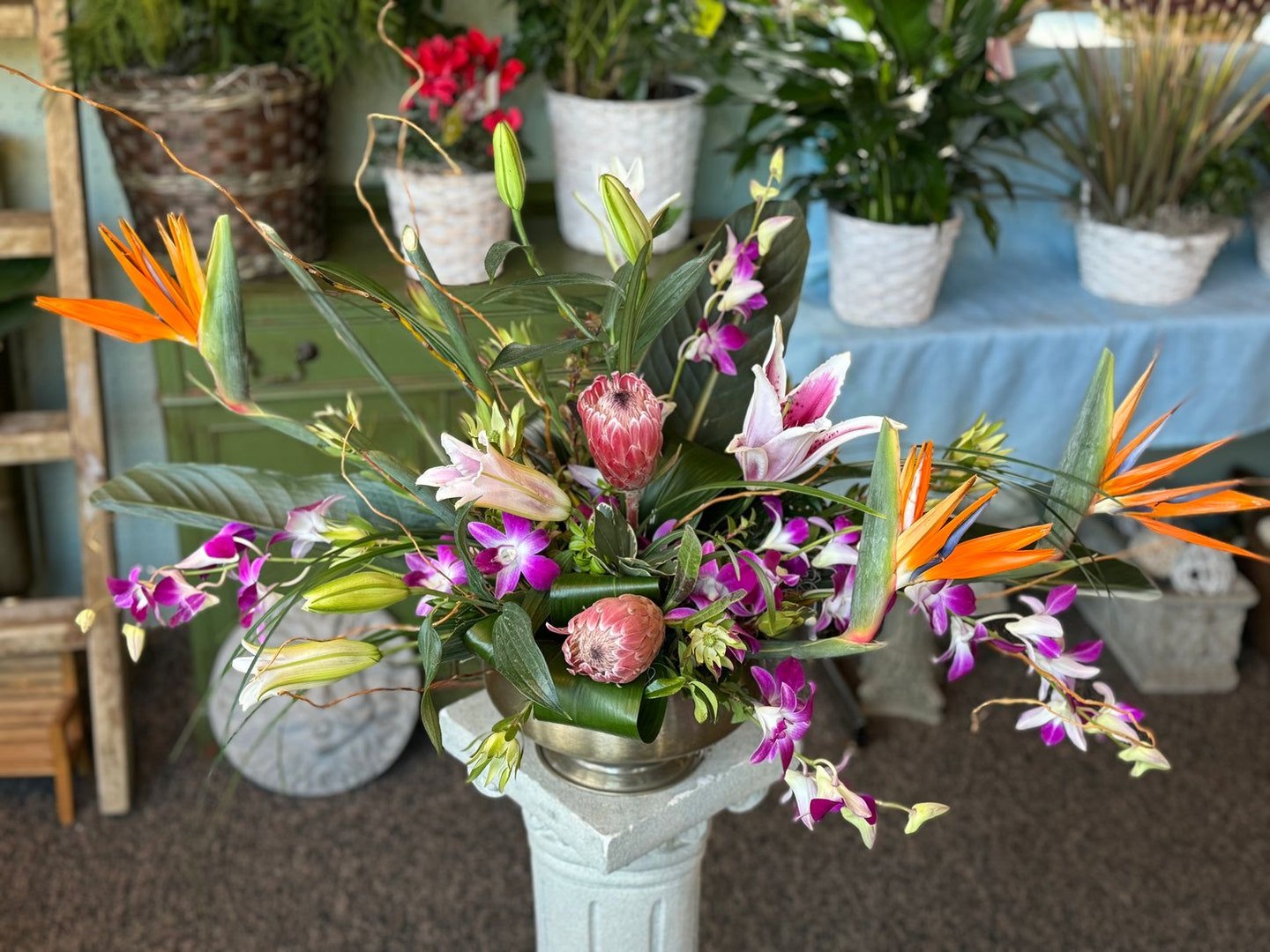 Bringing the tropics to TC with this unique display!
Curious about what inspires us each day? Stop in or give us a call. Let’s create something unforgettable together!
flowerstationtc.com
#flowers #florist #customflowers #downtowntraversecity #flowerstationtc
