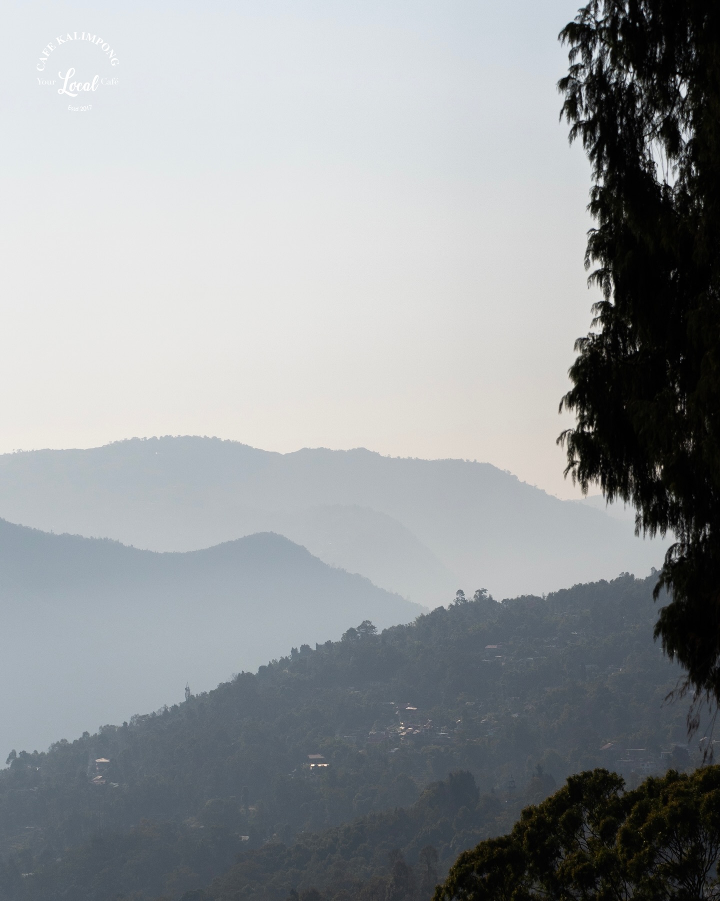 As the month of Magh begins with the celebration of Maghe Sankranti, the winter chill slowly gives way to warmer days.
The hills of Kalimpong glow a little brighter, the air feels lighter, and it’s the perfect time to sit back and soak in the view.
Pair the changing season with a slice of our freshly made Strawberry Cake 🍓🍰 sweet, comforting, and best enjoyed with the spectacular Kalimpong hills in the backdrop.
Come, celebrate the season at Cafe Kalimpong.
Enjoy this beautiful song by @noxious_shah