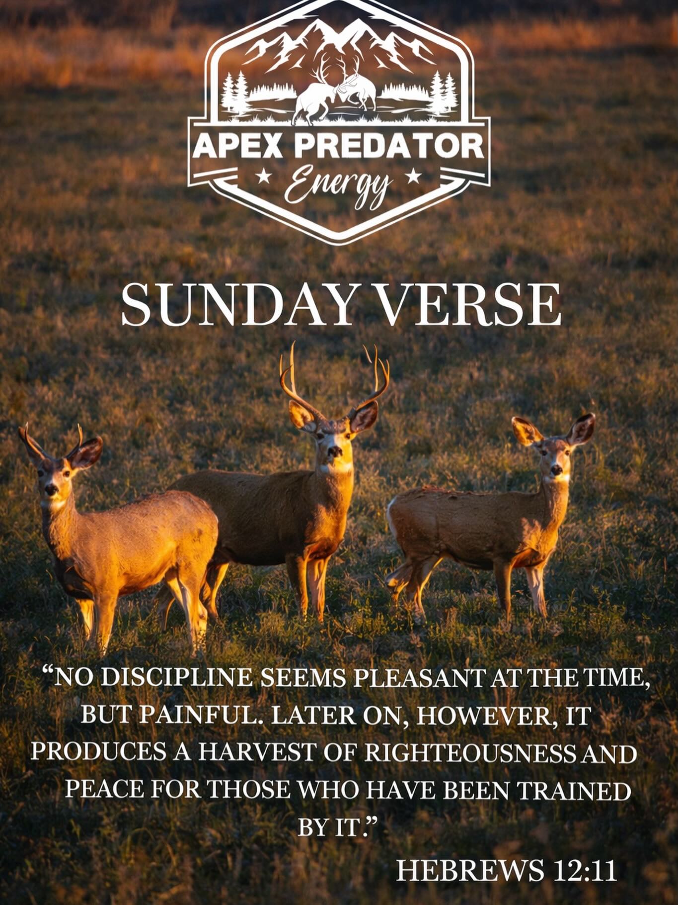 What you endure today becomes the strength you carry tomorrow.
Hebrews 12:11
#apexpredatorenergy #huntaz #sundayverse