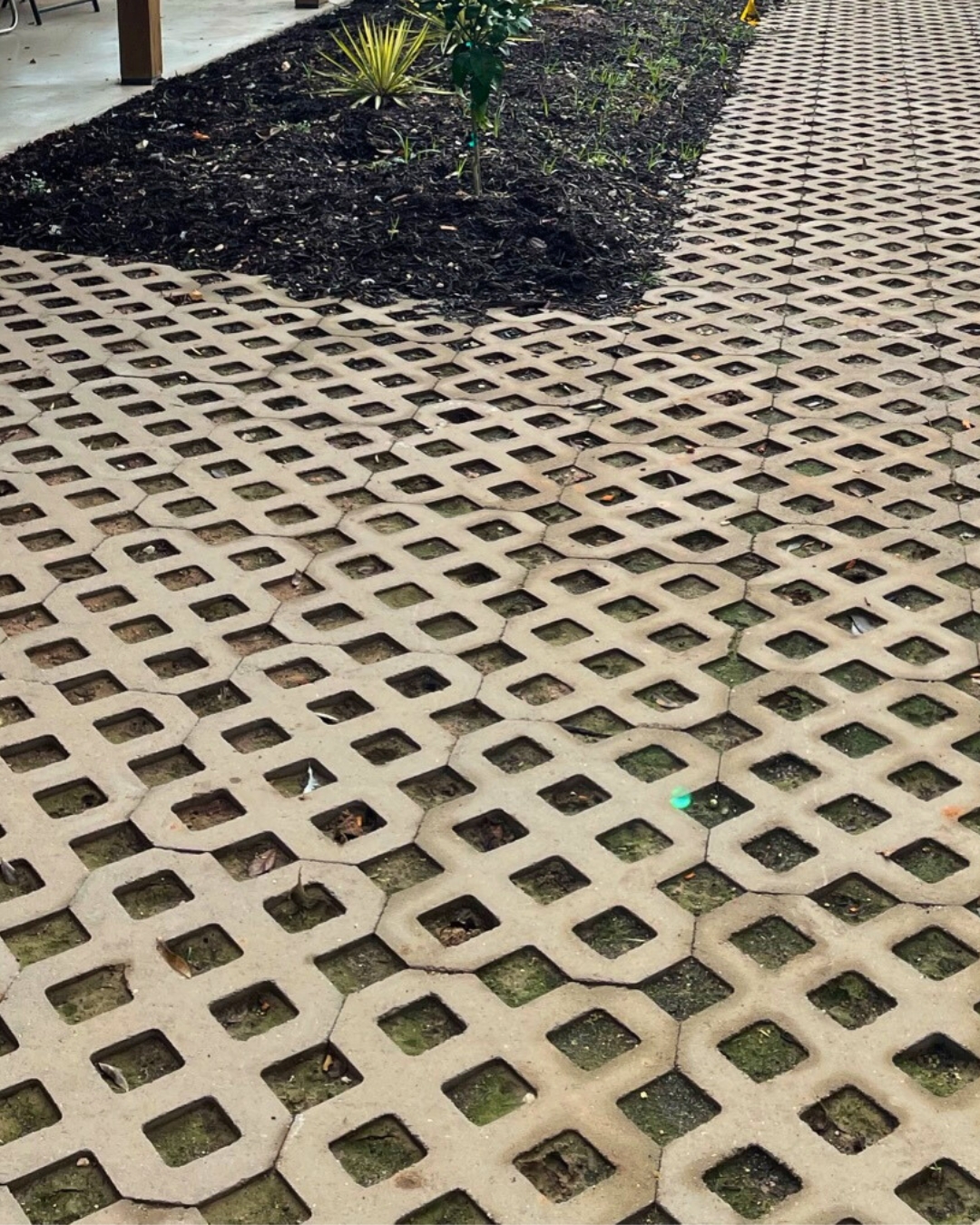 What if your landscape could be both stunning AND sustainable?
This year, and every year, we're all about creating outdoor spaces that work with Austin's climate, not against it. Materials like permeable pavers and repurposed stone aren't just beautiful, they're smart design choices that help manage water runoff and reduce waste.
Whether you're dreaming of a new patio or reimagining your whole outdoor space, sustainable materials offer that perfect blend of environmental impact and sophisticated style.