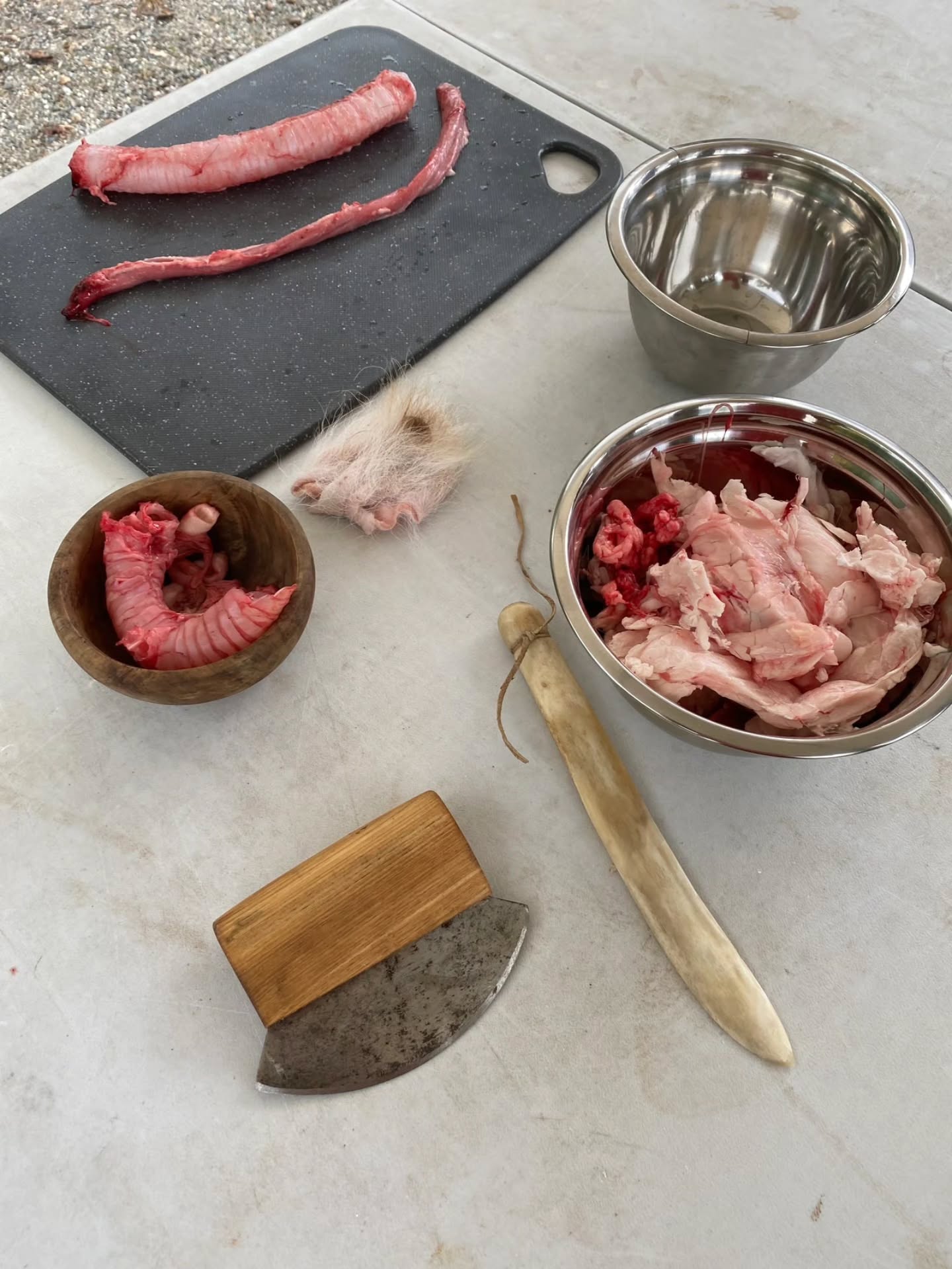 My second US course of the year is "Using the Whole Animal" 🇺🇸😀
I’m heading to Kannapolis, North Carolina from May 1st to 3rd for "Using the Whole Animal," and the wonderful Doug S. Meyer is our host!
This is going to be such a cool, hands-on weekend. We’ll learn how to honor the animal by using every single part—from butchery and cooking to making tools, glue, and even thread. It’s all about those amazing ancient skills and making sure nothing goes to waste. 🦌✨
I’d love to see you there! We only have 10 spots left, so definitely jump in soon if you want to join the fun.
All the juicy details are on my website! 🌿
#TraditionalSkills #NorthCarolina #PrimitiveSkills #Homesteading #AncientCrafts