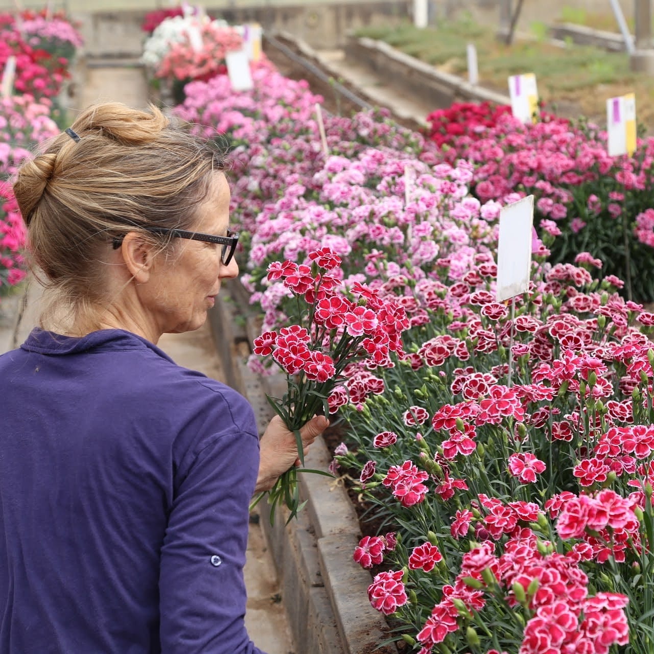 Irit arranges a bouquet of flowers from our
Pot varieties
.
.
.
. #fun #instagramers #food #smile #pretty #followme #nature #lol #dog #hair #onedirection #sunset #swag #throwbackthursday #instagood #beach #statigram #friends #hot #funny #blue #life #art #instahub #photo #cool #pink #bestoftheday #clouds