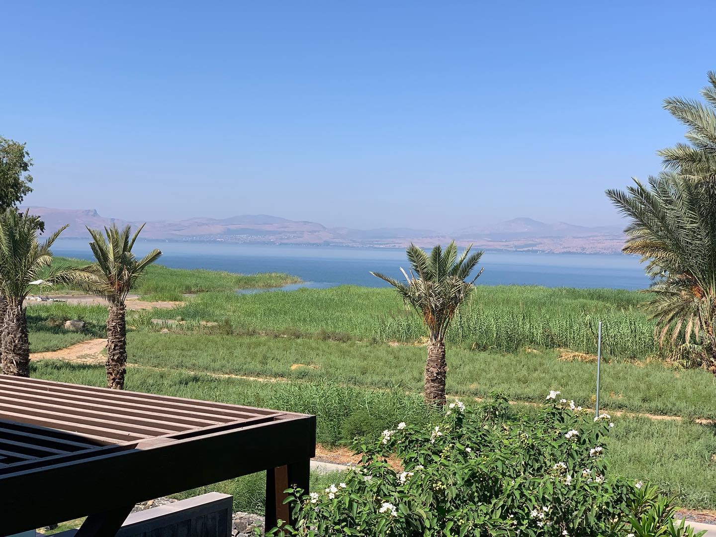 #seaofgalilee🇮🇱 #thesetaiseaofgalilee #goodmorning #nature #israel #travelisrael #travelling #travellocalisrael