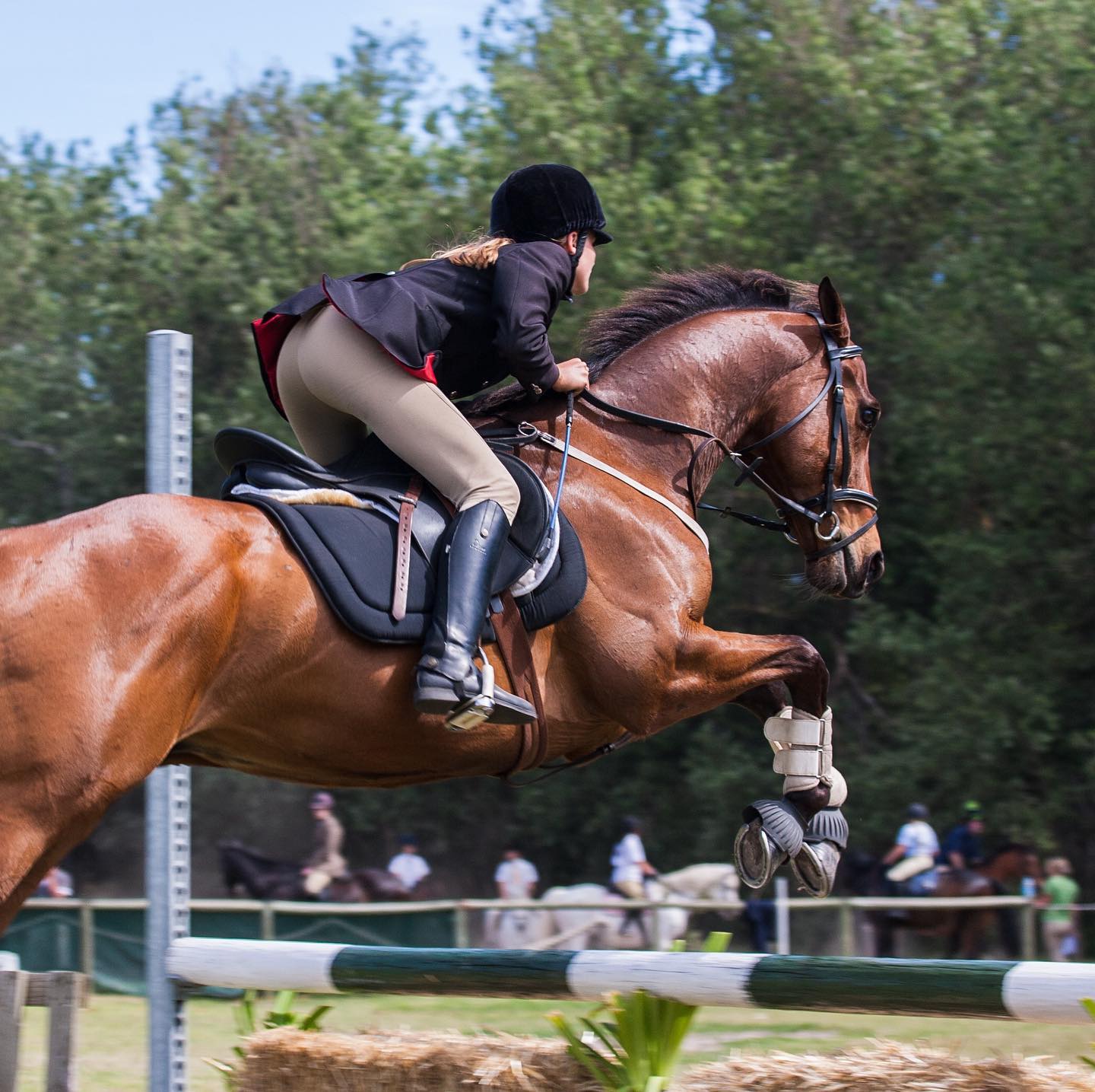 We have all felt it! The cold weather is setting in,🌨️ the trees are turning golden and red,🍁 and we are all grabbing for our plaid scarfs.🧣⠀
⠀
....However, we are sure the change of season has not deterred you away from getting out on your horse, and enjoying the sunny cool mornings, or the trickle of rain?⠀
⠀
Who has managed to get out on their horse this month?🐎⠀
Comment down below! ⠀
⠀
We would love to hear about your Horse adventures?⠀
⬇️⬇️⠀
⠀
⠀
Looking for a new saddle to enjoy the Autumn Season?⠀
Just press the link in the bio➡️, we have plenty of styles!⠀
⠀
⠀
#horseadventures #autumn #saddlesforsale #equestrian #equestrianlife #horsesarelife #ilovemyhorse #horseridinguk #jumpsaddle #showjumping #workinghunter #equitation #saddles #horsesaddles #girlsthatride #horserider #countrylife #myhorseisthebest #saddleforsale #adjustablesaddle #equinehour #britishshowjumping #britishdressage #equestrianlife #horsesofinstagram #horses #saddler #equestrians