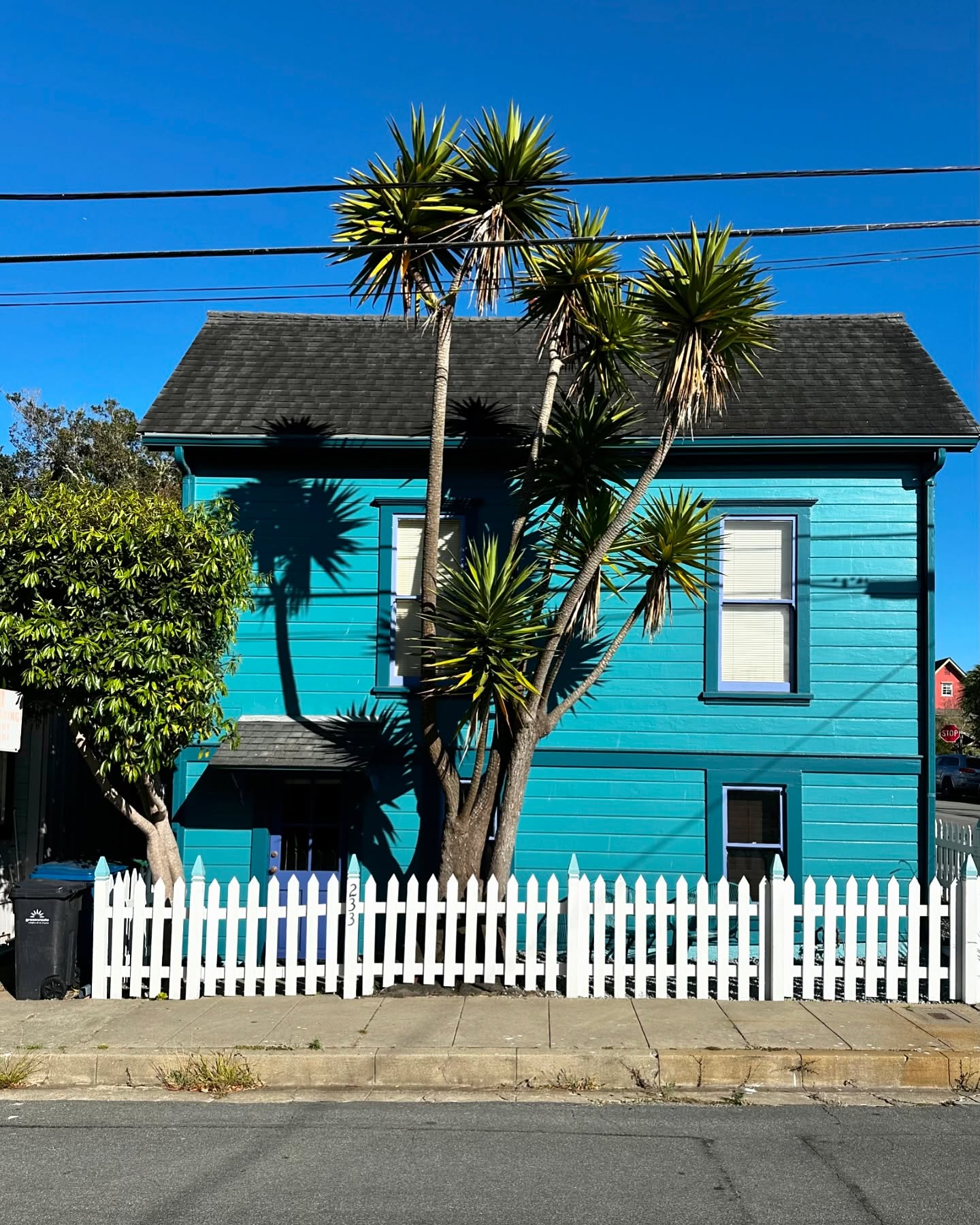 Look at this cutie I walked past today in Town Center. #walkeverystreetPG
Ashley Edge, REALTOR®
DRE# 02205915 | Coldwell Banker Monterey
831-717-7815 | Ashley@ashleyedge.co
ashleyedge.co