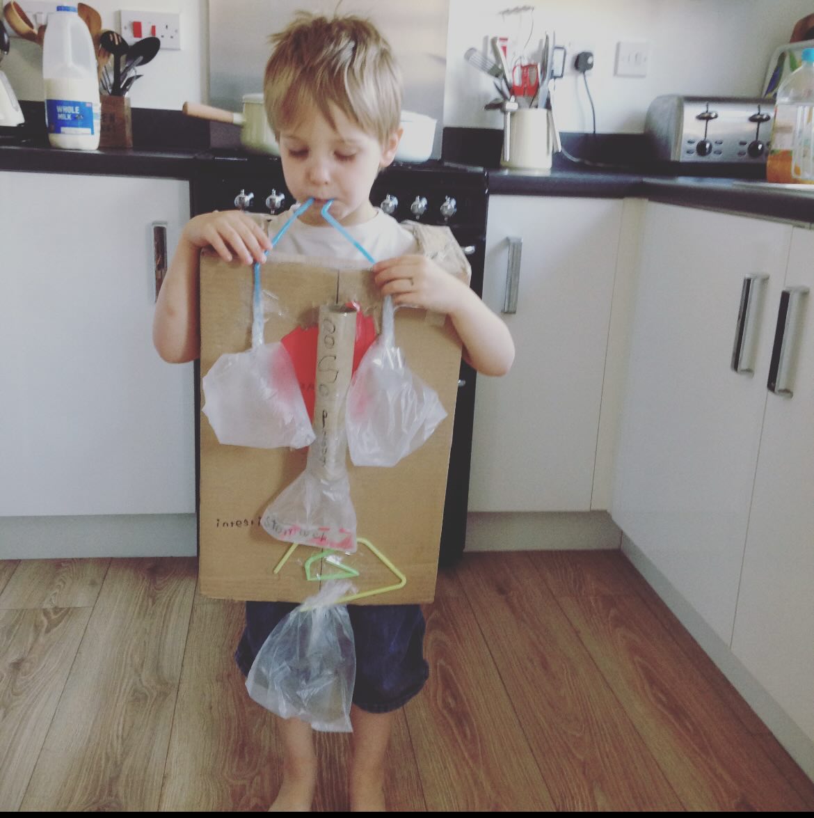 Hopping on the 2016 trend. Wow, 10 years. It’s gone by in the blink of an eye. I think back to how hard it was teaching all four of them, but I also look back and think about how much I loved them all at home. They’re all adults or teens now and I sometimes miss those days. 2016 was a good year. I hope 2026 is equally as good, and I hope yours is too 💕