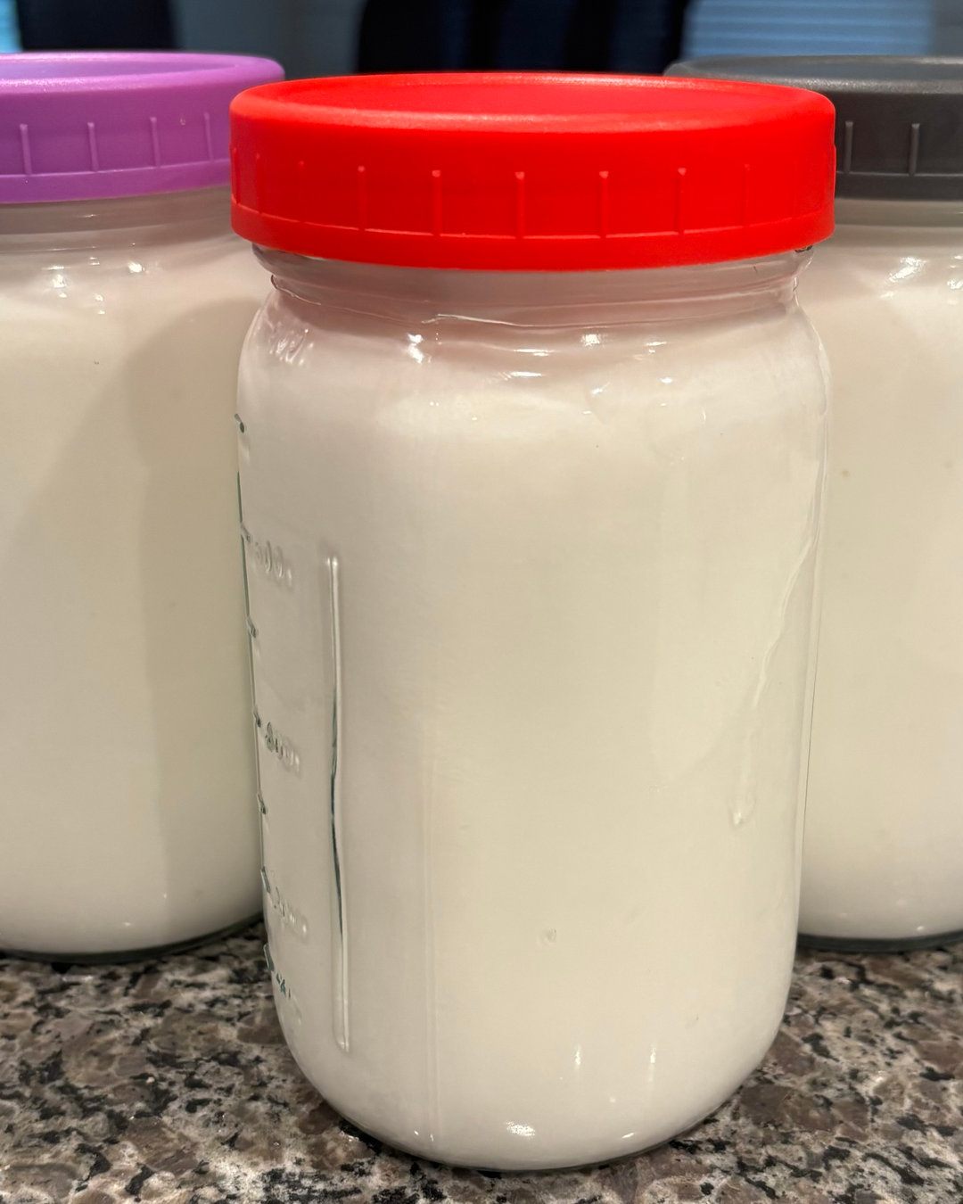New Blog Post: https://www.mindfully-nourished.net/post/what-the-heck-is-milk-kefir