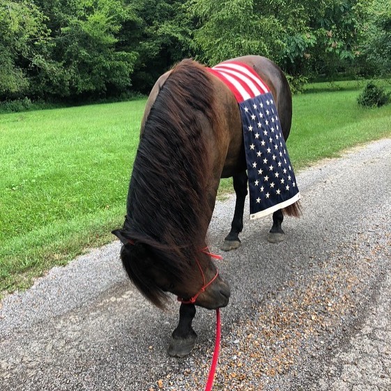 For you were called to freedom, brothers. Only do not use your freedom as an opportunity for the flesh, but through love serve one another. ~ Galatians 5:13
#happyindependenceday #koa #blazerfarm #4thofjuly
📷@koawinstonluv
