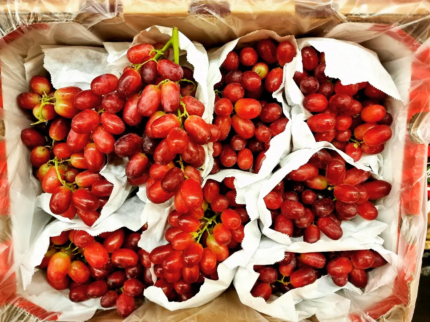 #grapes #delicious #sugar #vitamin #ehmann #wholesale #red #fruit #fruitporn