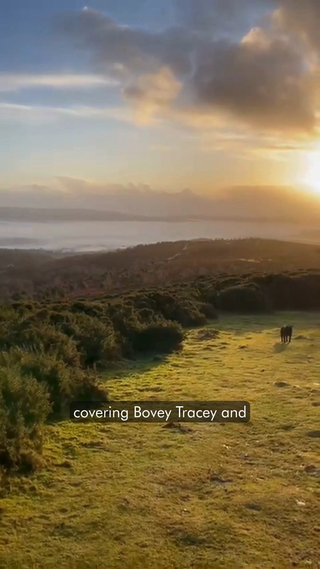 Think of Essential PA as a blanket for your business.
We wrap around the day-to-day so you don’t have to. From meetings, travel and agendas to invoicing and admin, we take care of the details that keep your business running smoothly.
While we look after the operations, you can look ahead with clarity, confidence and calm.
A total care package for your business!
#BusinessSupport #EssentialPA #VirtualAssistant #OperationalExcellence #WorkSmarter
